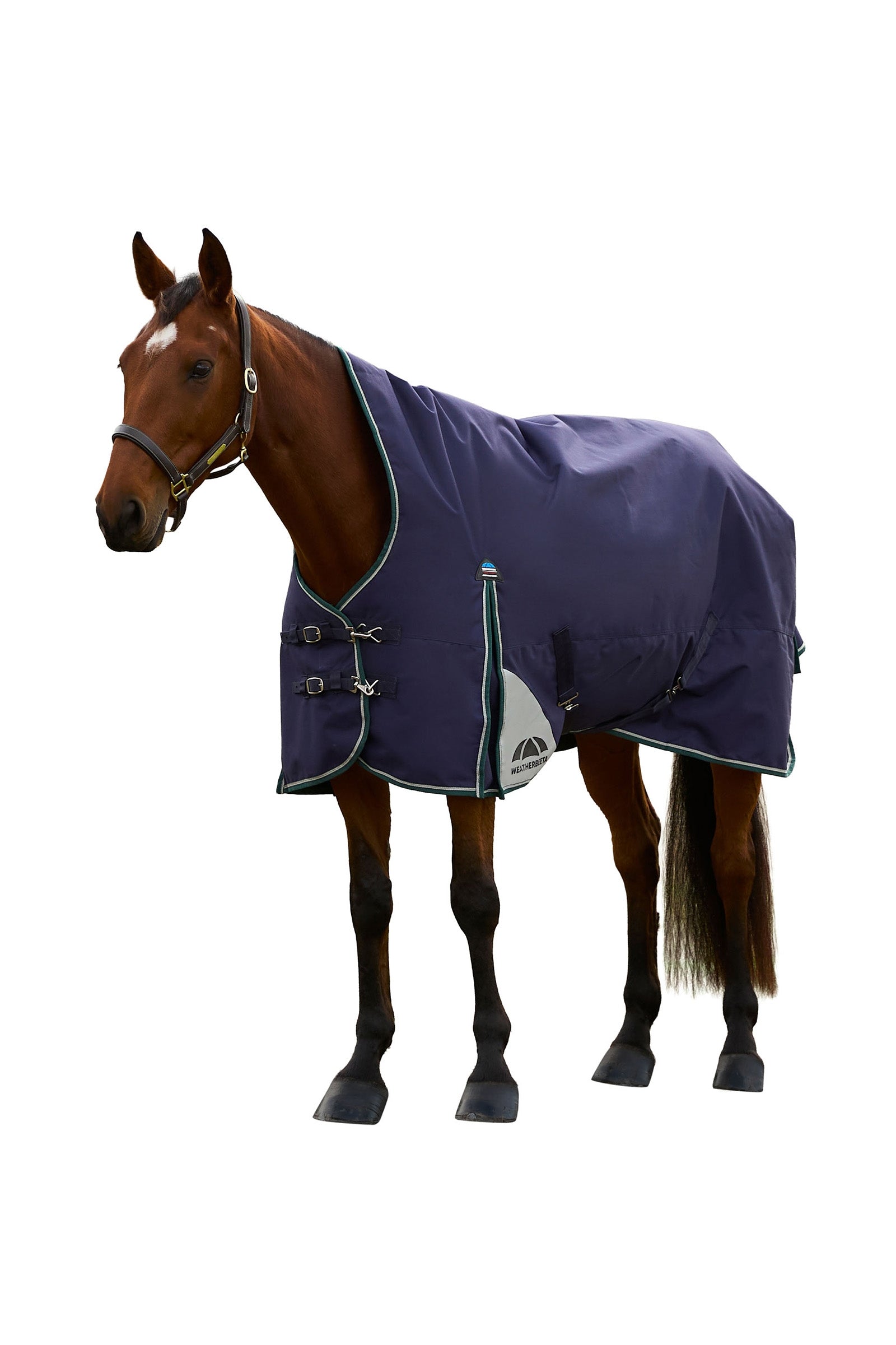 Weatherbeeta ComFiTecPlus Dynamic Turnout High Neck 100G Horse Rugs