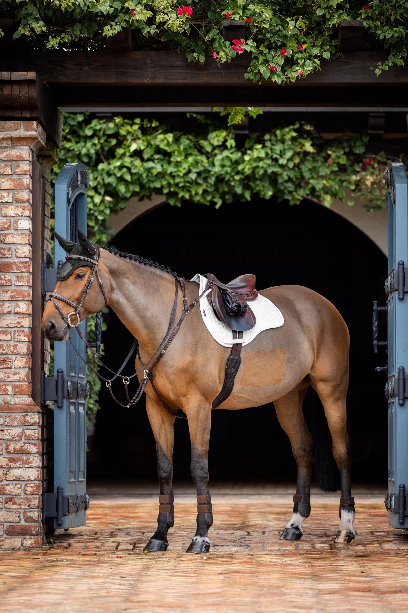 LeMieux Prosorb Plain 2 Pocket GP Square Pad Saddle Pads