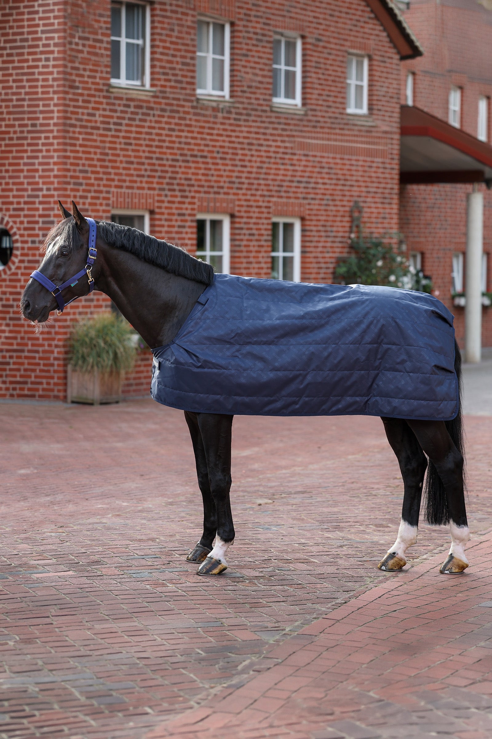 Bucas Liner, 300g Horse Rugs