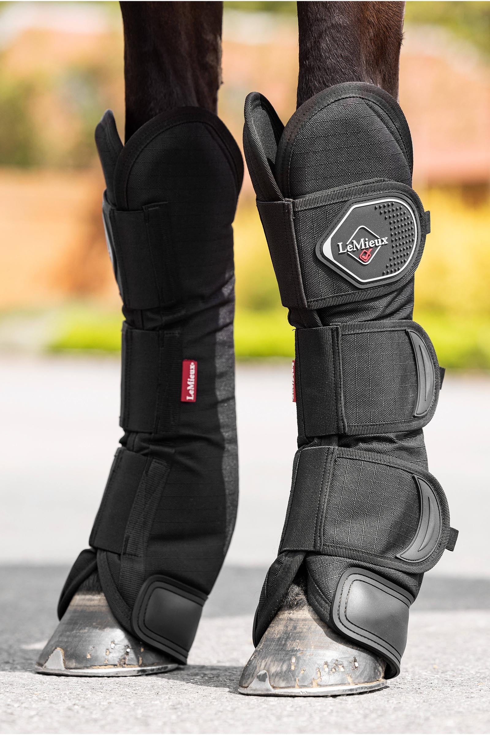 LeMieux Travel Boots Leg Protection & Hoof Protection for Horses