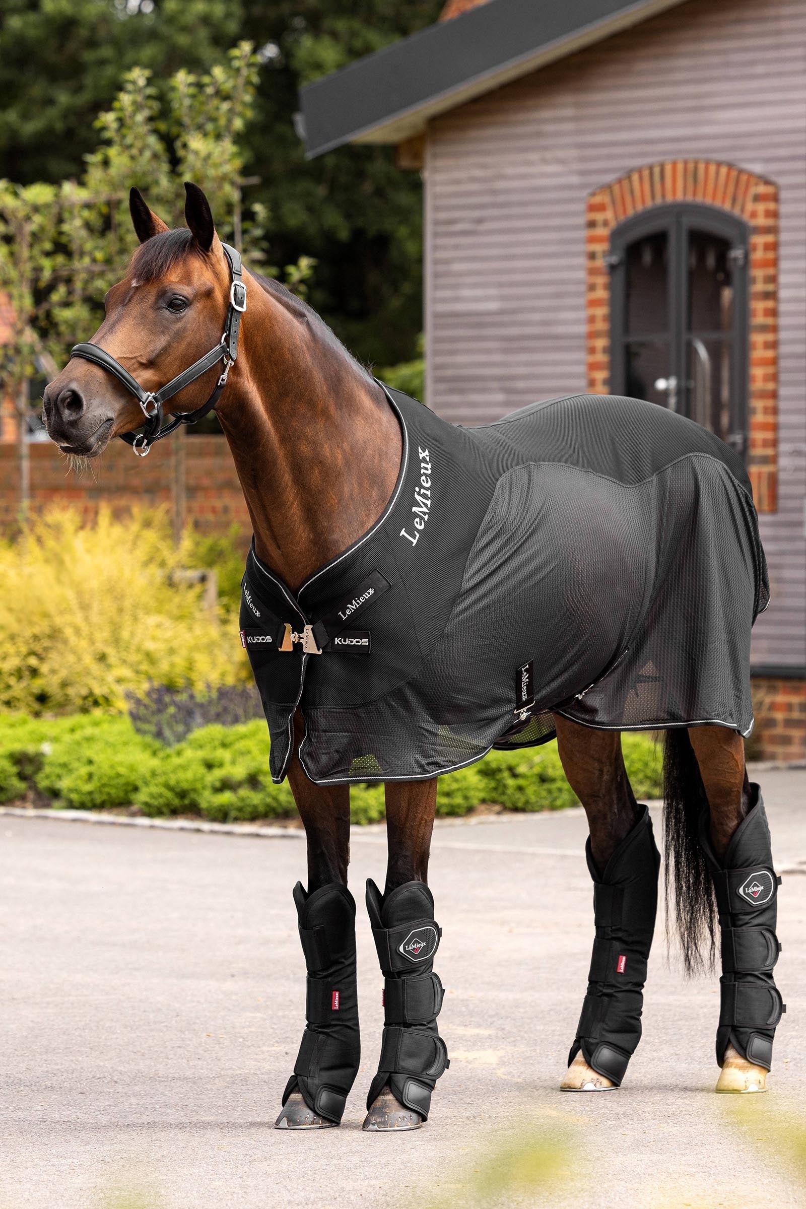 LeMieux Travel Boots Leg Protection & Hoof Protection for Horses