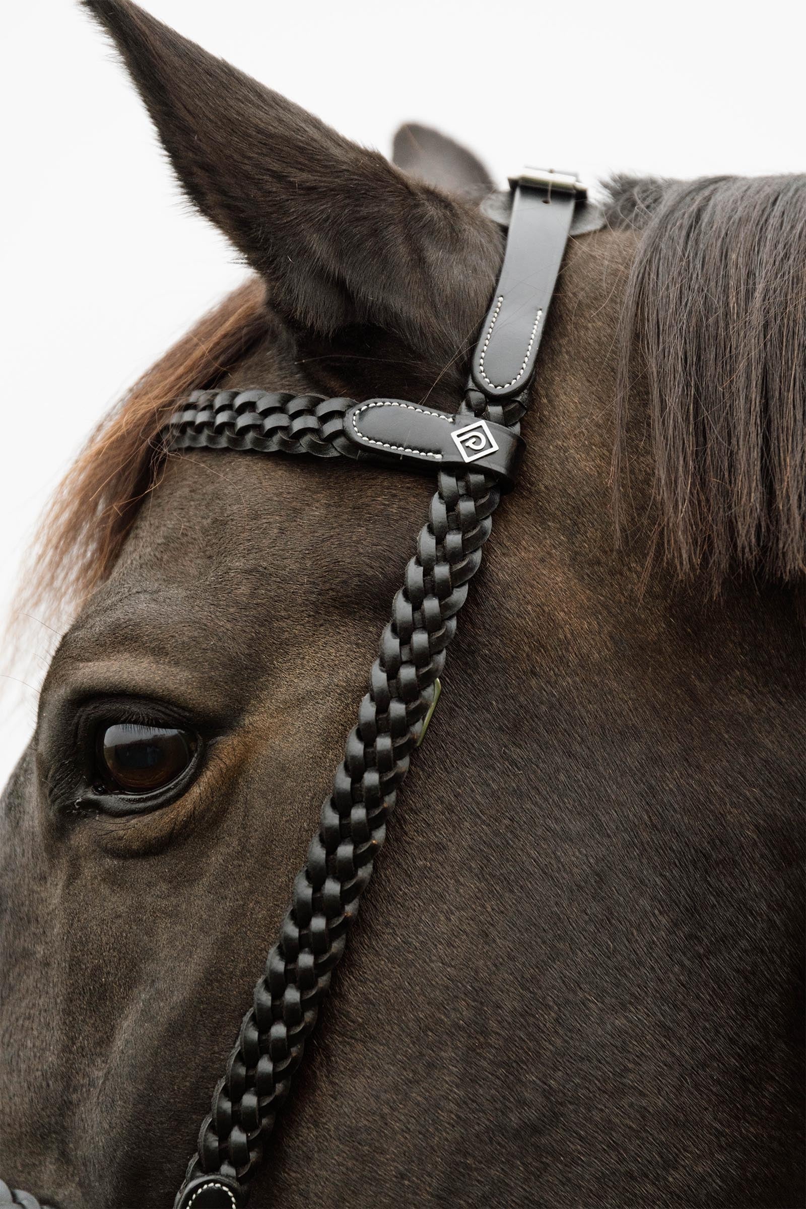 Dy'on Working Plaited Training Bridle Bridles & Reins