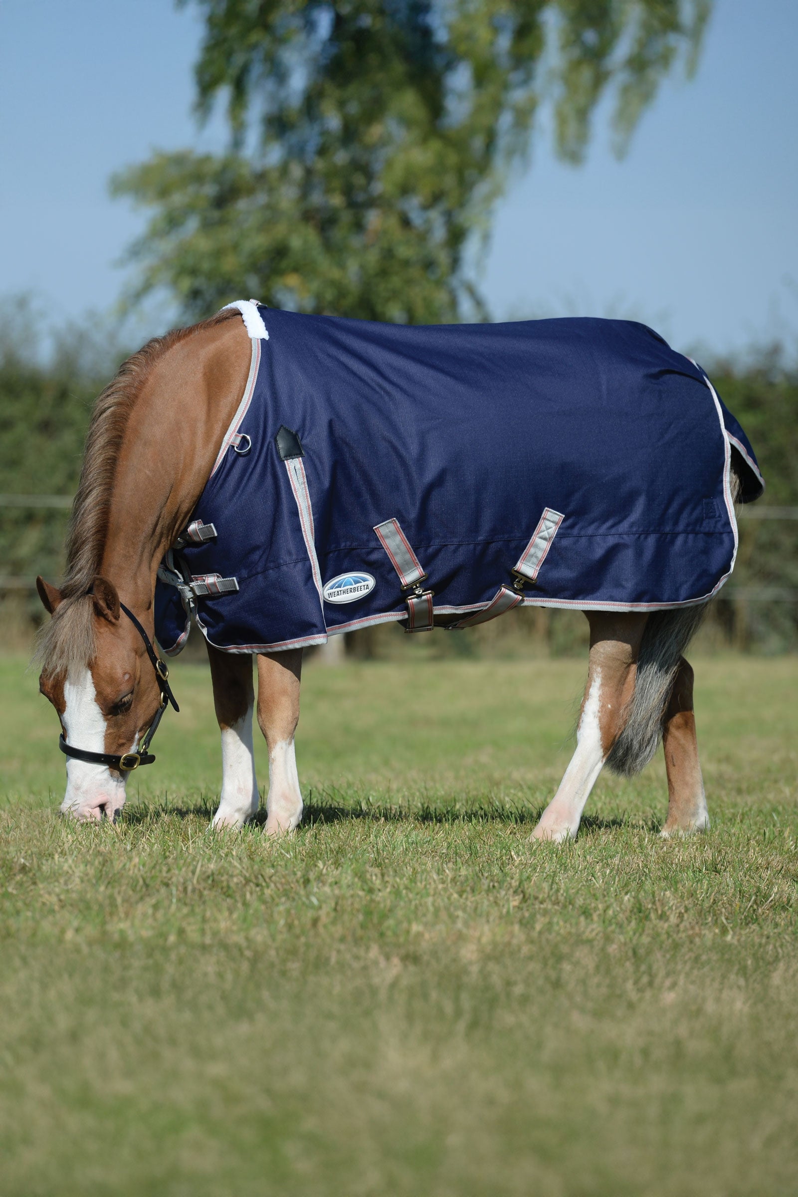 Weatherbeeta Comfitec Essential Plus Turnout Rug, 50g Horse Rugs