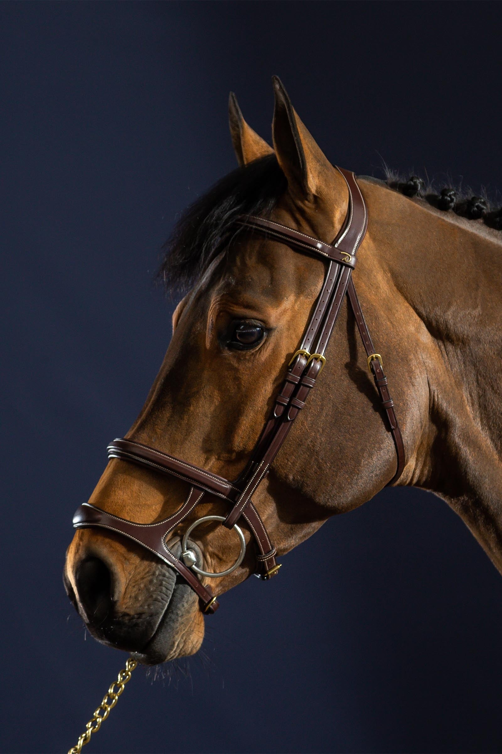 Dy'on D Collection Double Noseband Bridle Bridles & Reins