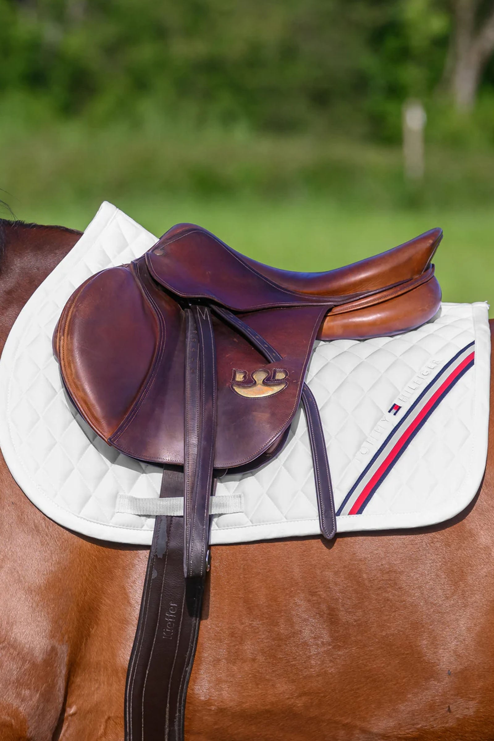 Tommy Hilfiger Equestrian Stanford Jumping Saddlepad Saddle Pads
