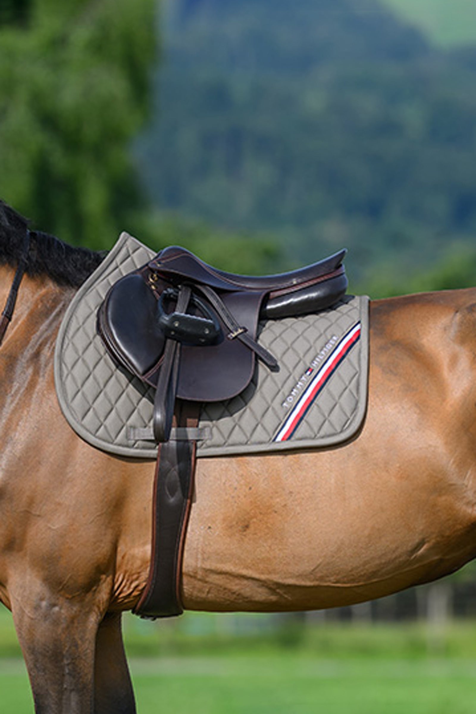 Tommy Hilfiger Equestrian Stanford sottosella da salto Sottosella