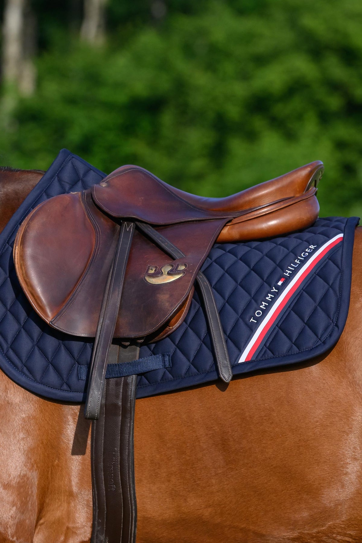 Tommy Hilfiger Equestrian Stanford Jumping Saddlepad Saddle Pads