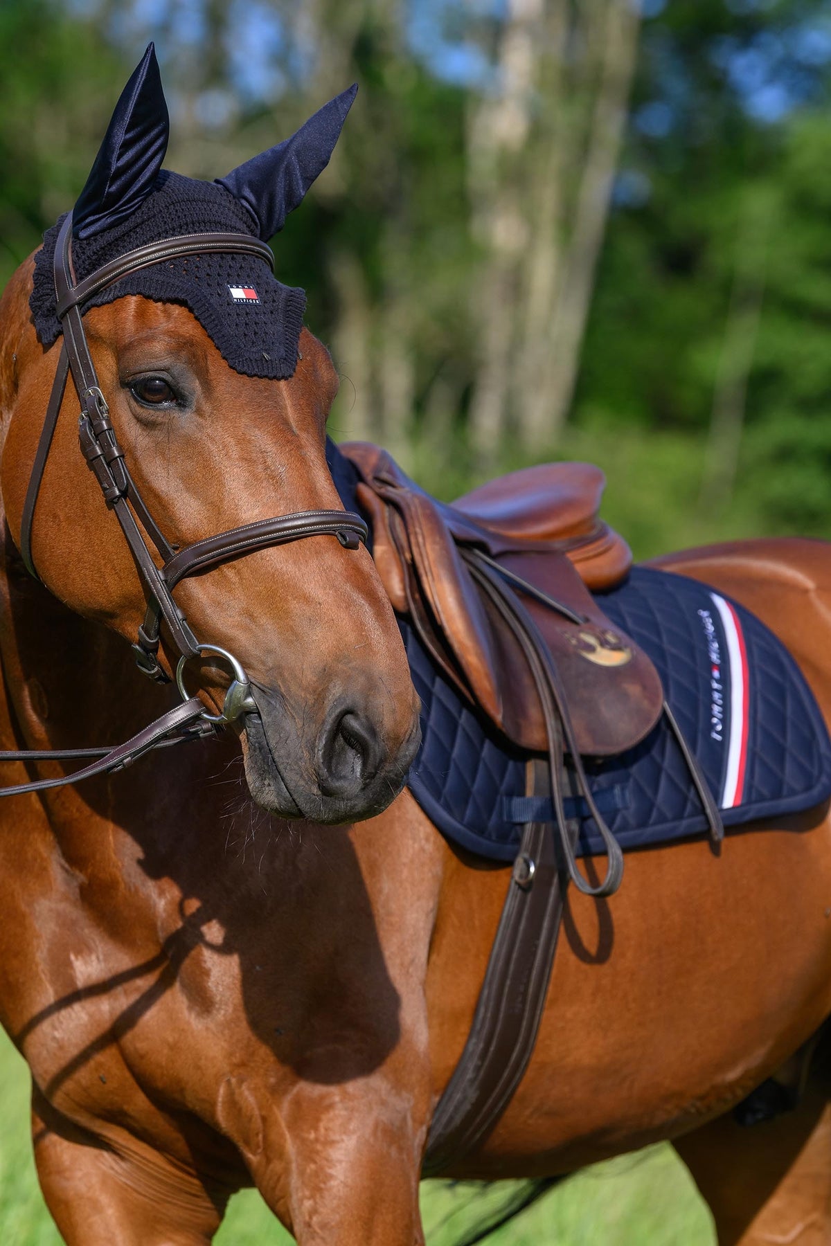 Tommy Hilfiger Equestrian Stanford Jumping Saddlepad Saddle Pads