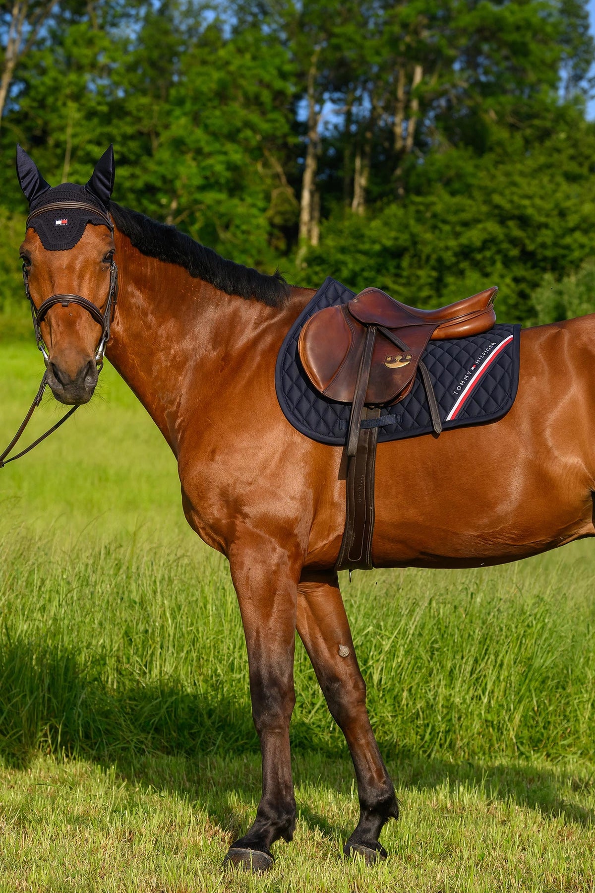 Tommy Hilfiger Equestrian Stanford Jumping Saddlepad Saddle Pads