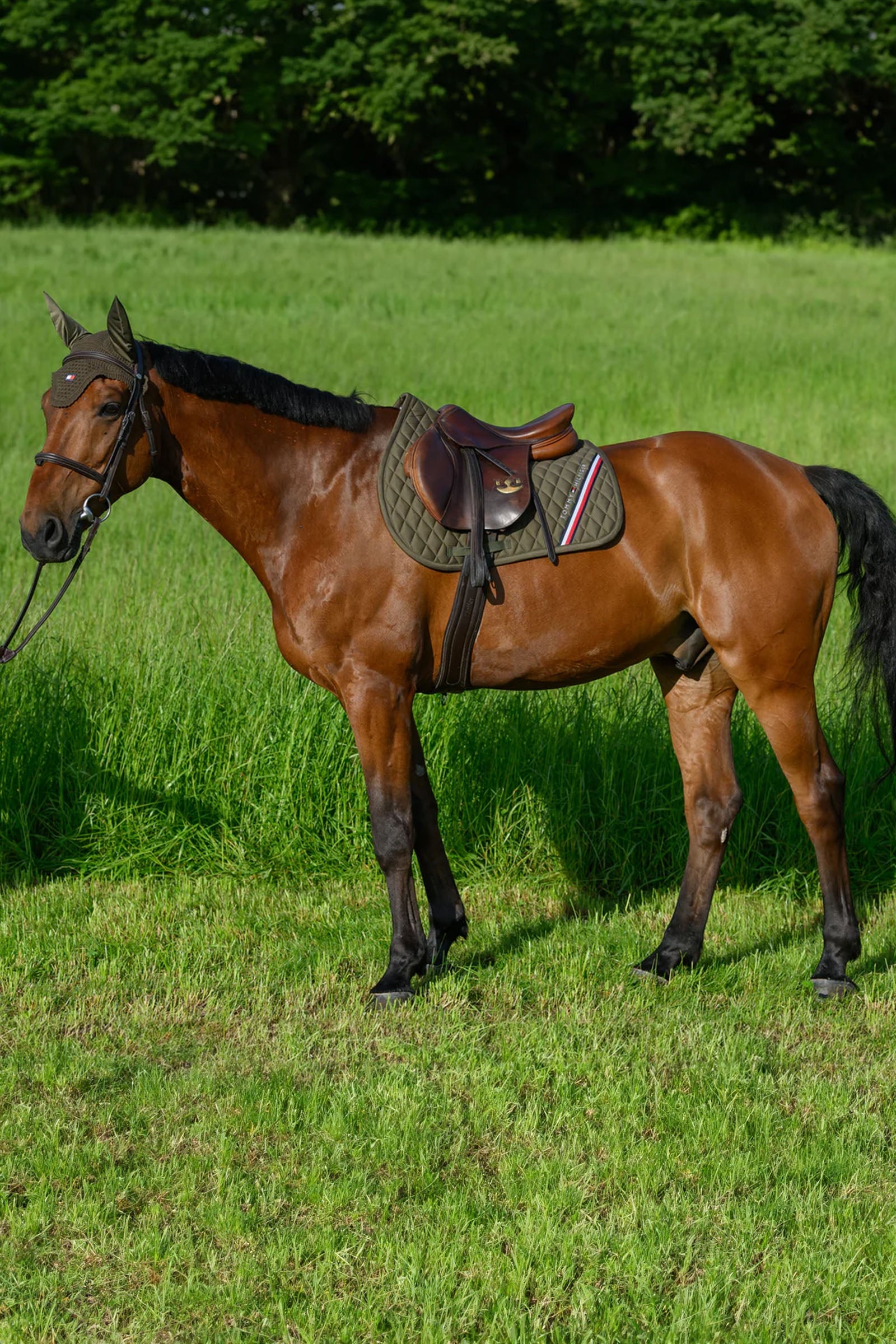 Tommy Hilfiger Equestrian Stanford Jumping Saddlepad Saddle Pads