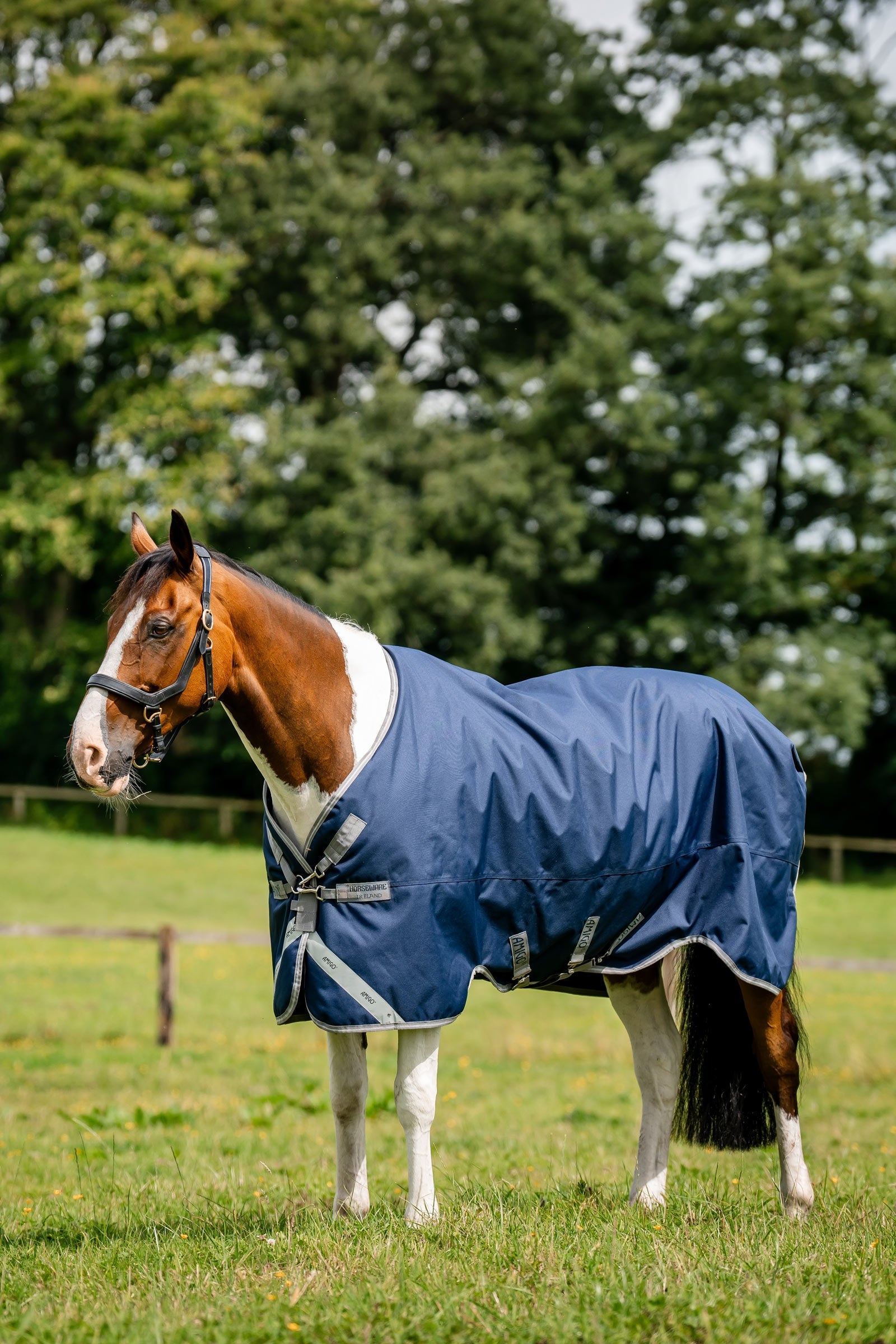 Horseware Amigo 1200D coperta da esterno, 250 g Coperte per cavalli