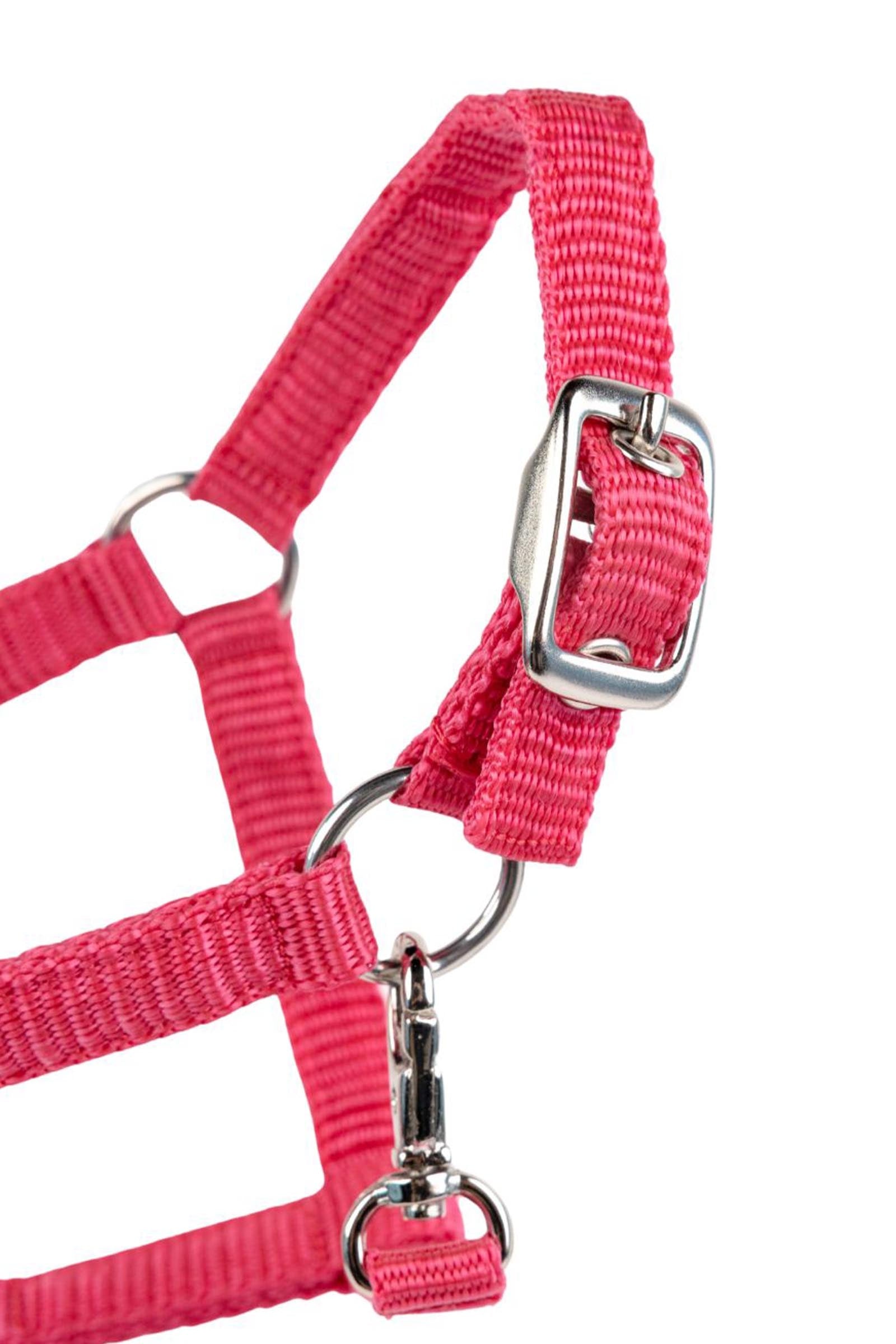 My Hobby Horse Nylon Halter Gifts & Toys