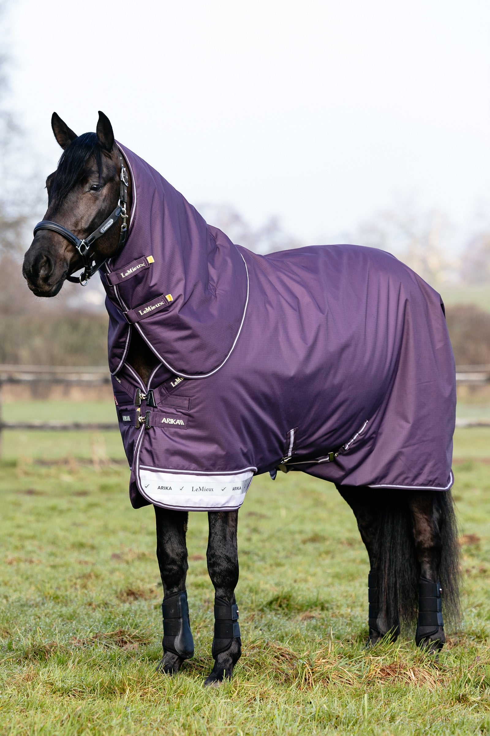LeMieux Arika Ripstop Turnout Rug With Detachable Neck, 100 g Coperte per cavalli