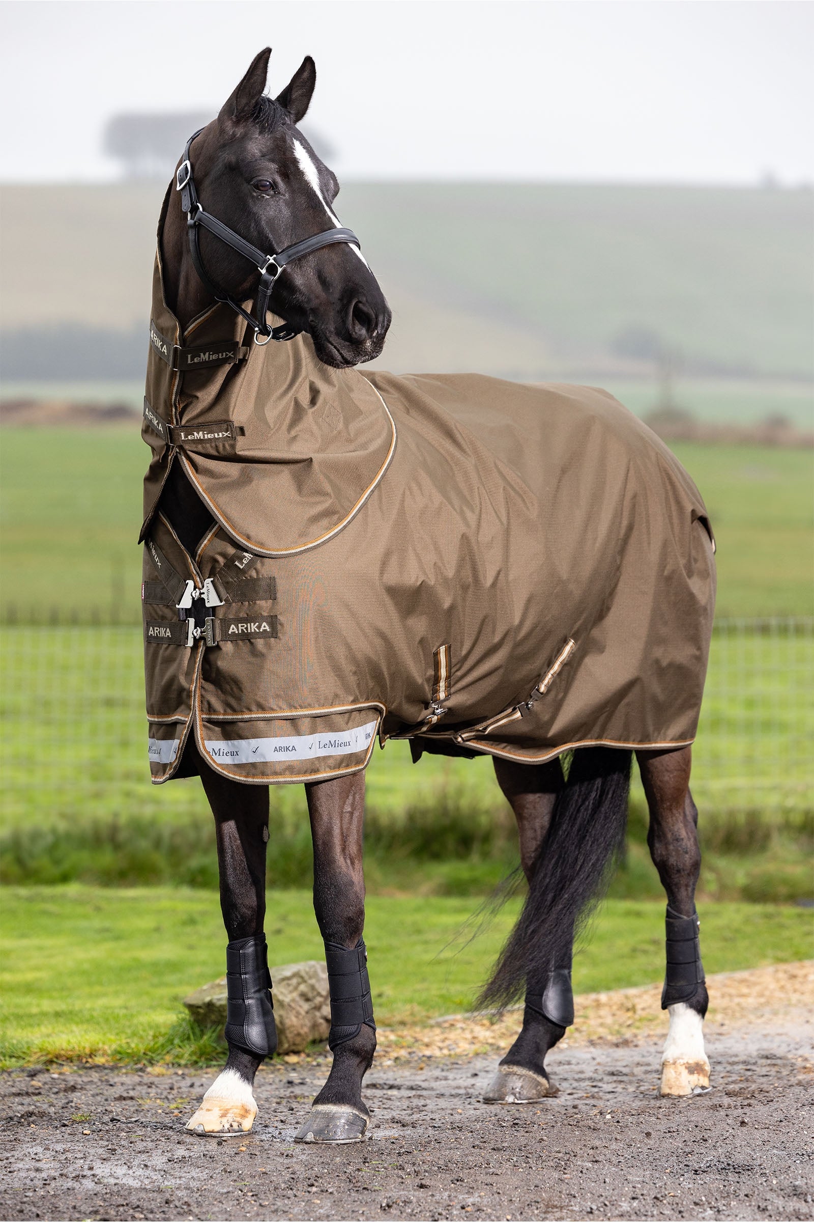 LeMieux Arika Ripstop Turnout Rug With Detachable Neck, 100 g Coperte per cavalli