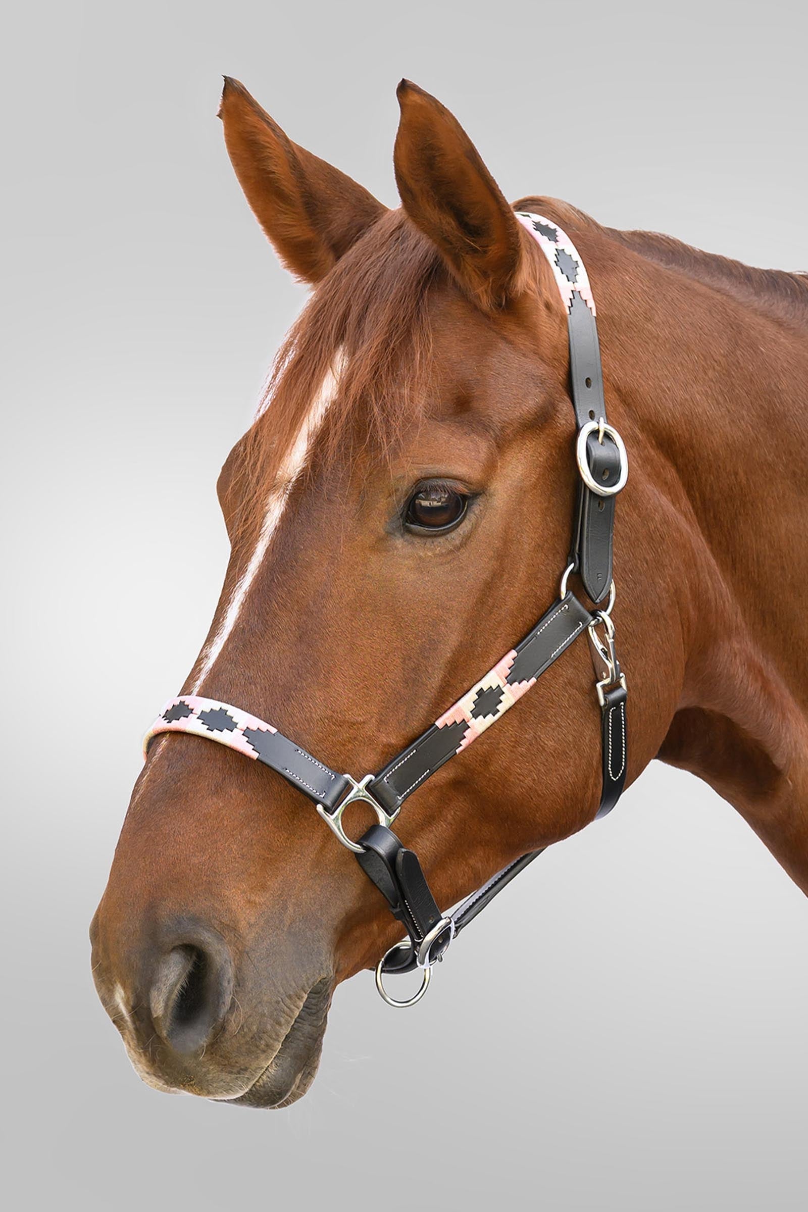 Waldhausen X-Line Polo Leather Halter Halters & Leads
