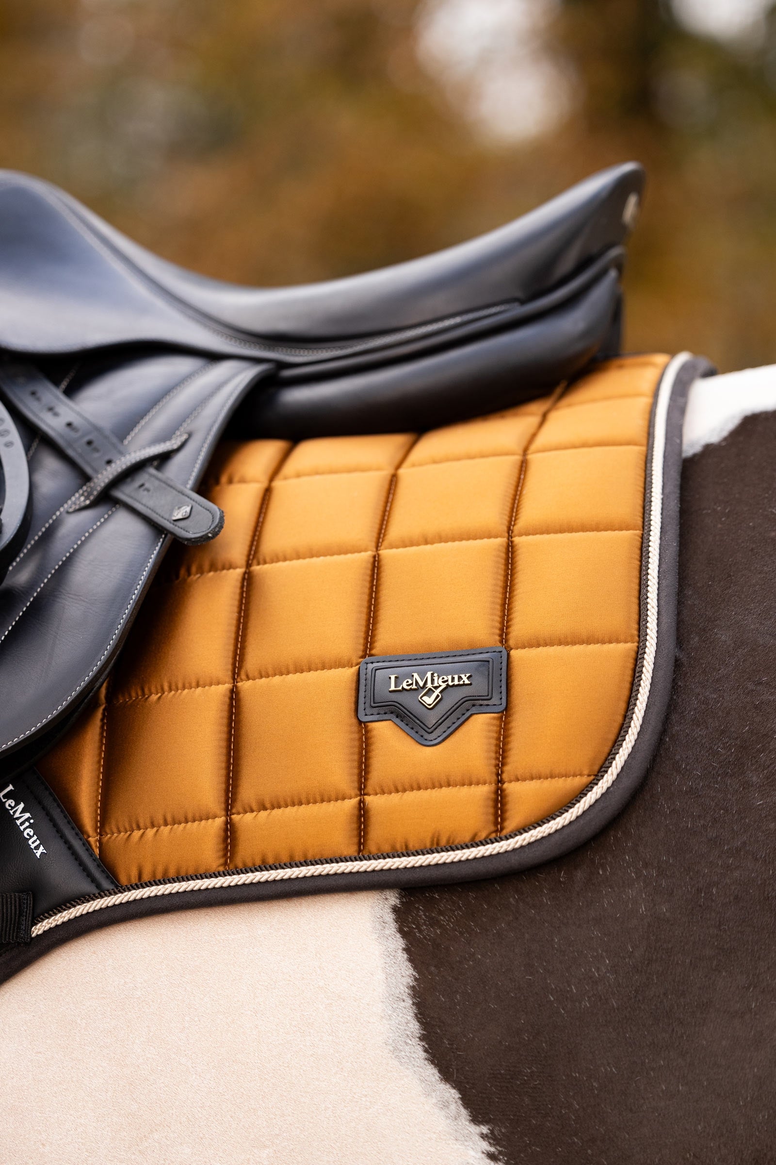 LeMieux Loire Classic Square Close Contact Saddle Pad Saddle Pads