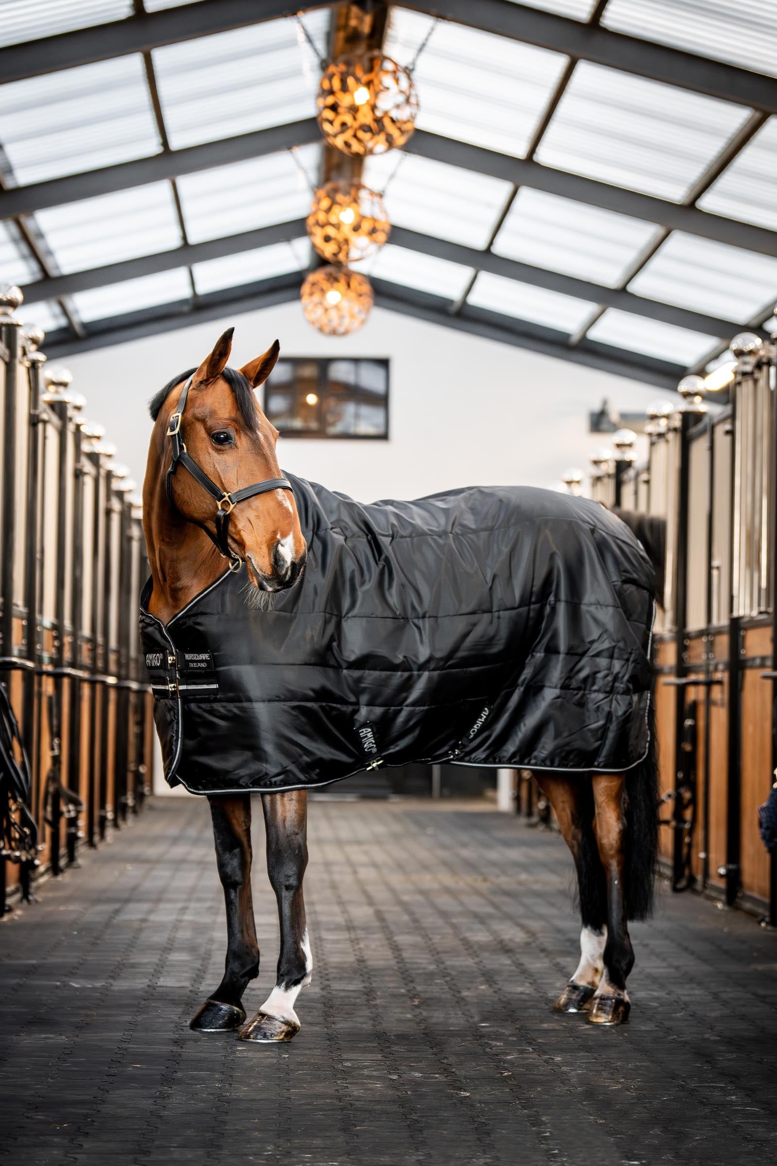 Horseware Amigo Ripstop Insulator coperta da stalla, 200g Coperte per cavalli