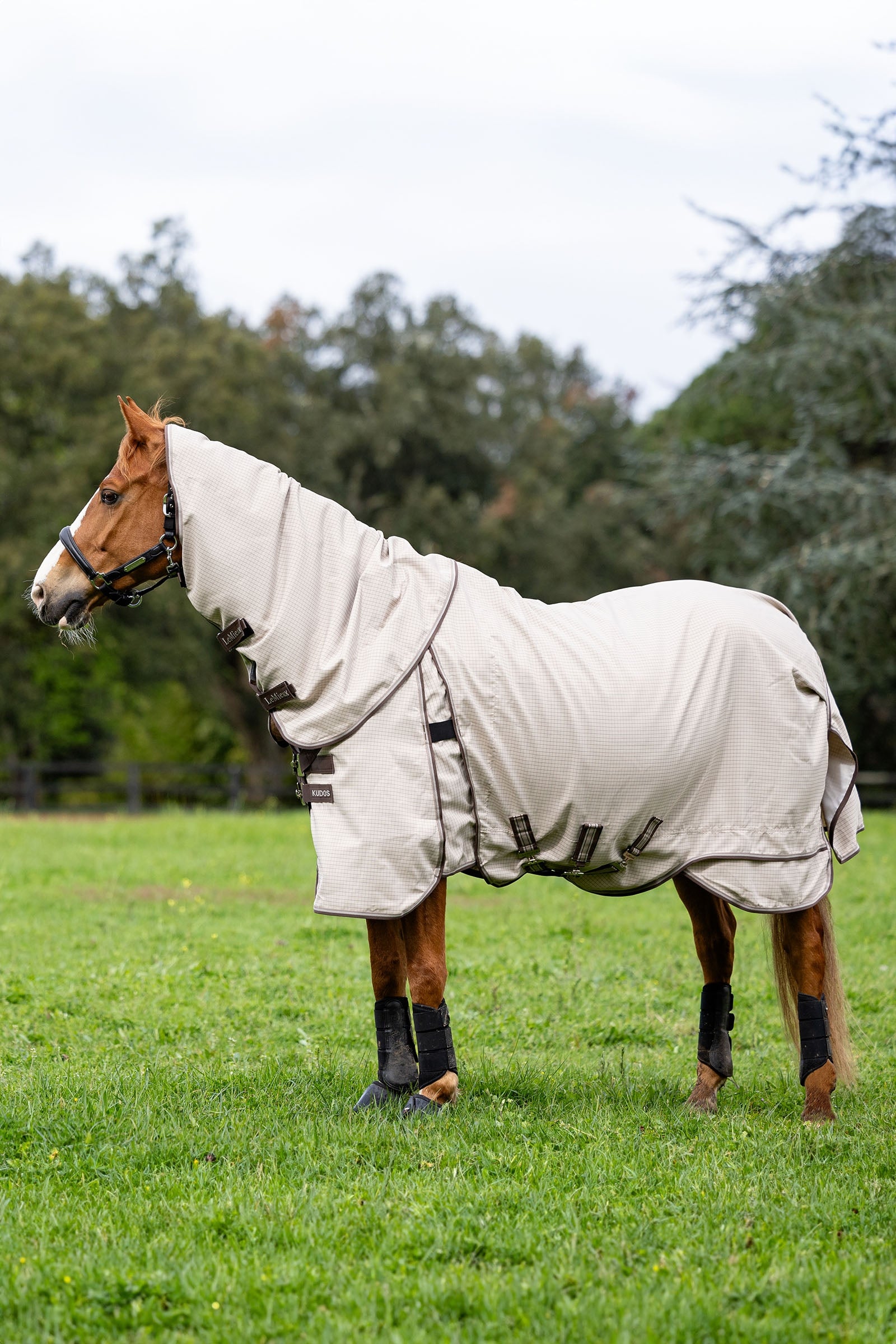 LeMieux Kudos coperta da paddock Coperte per cavalli