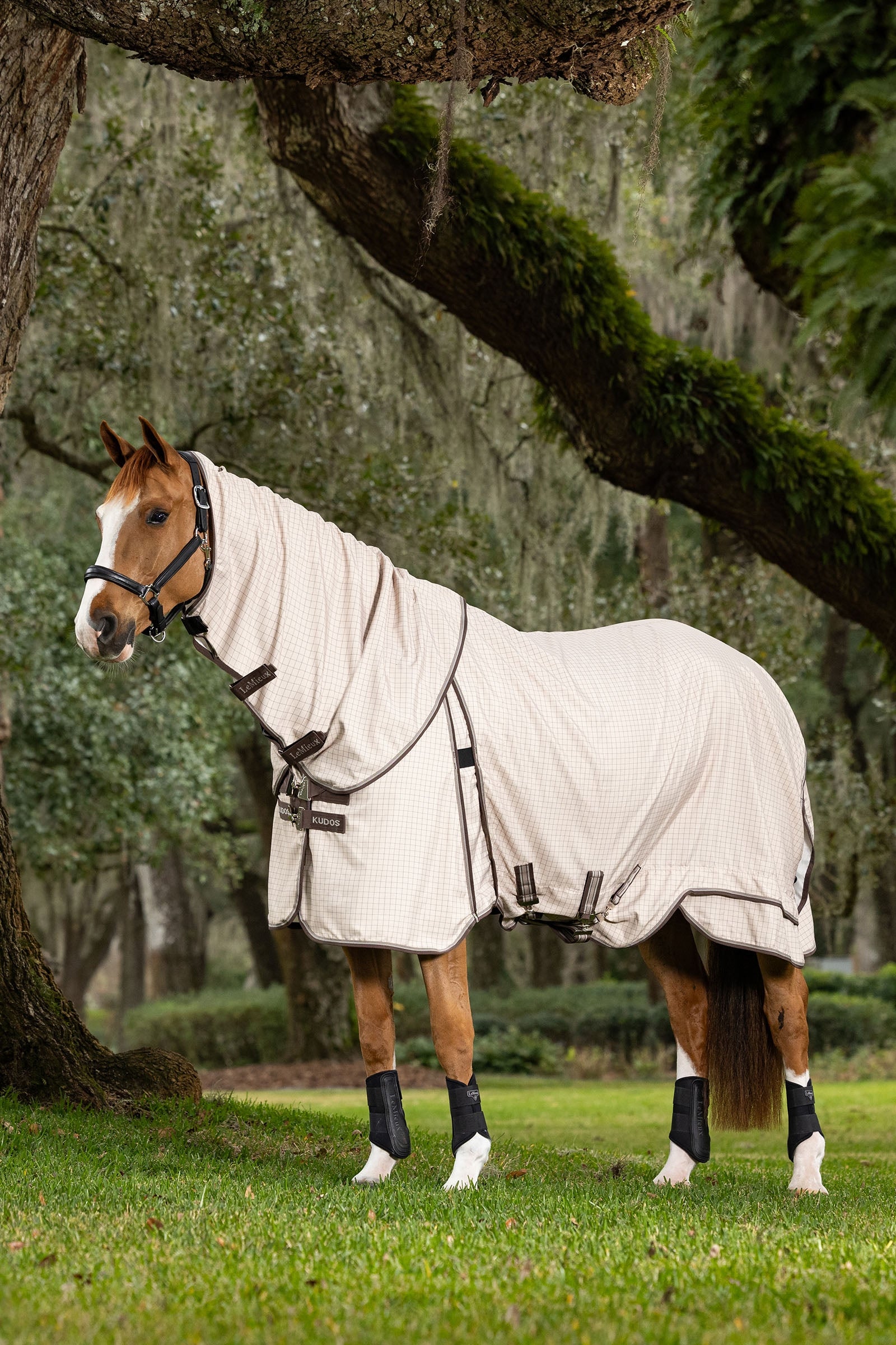 LeMieux Kudos Field Rug Horse Rugs