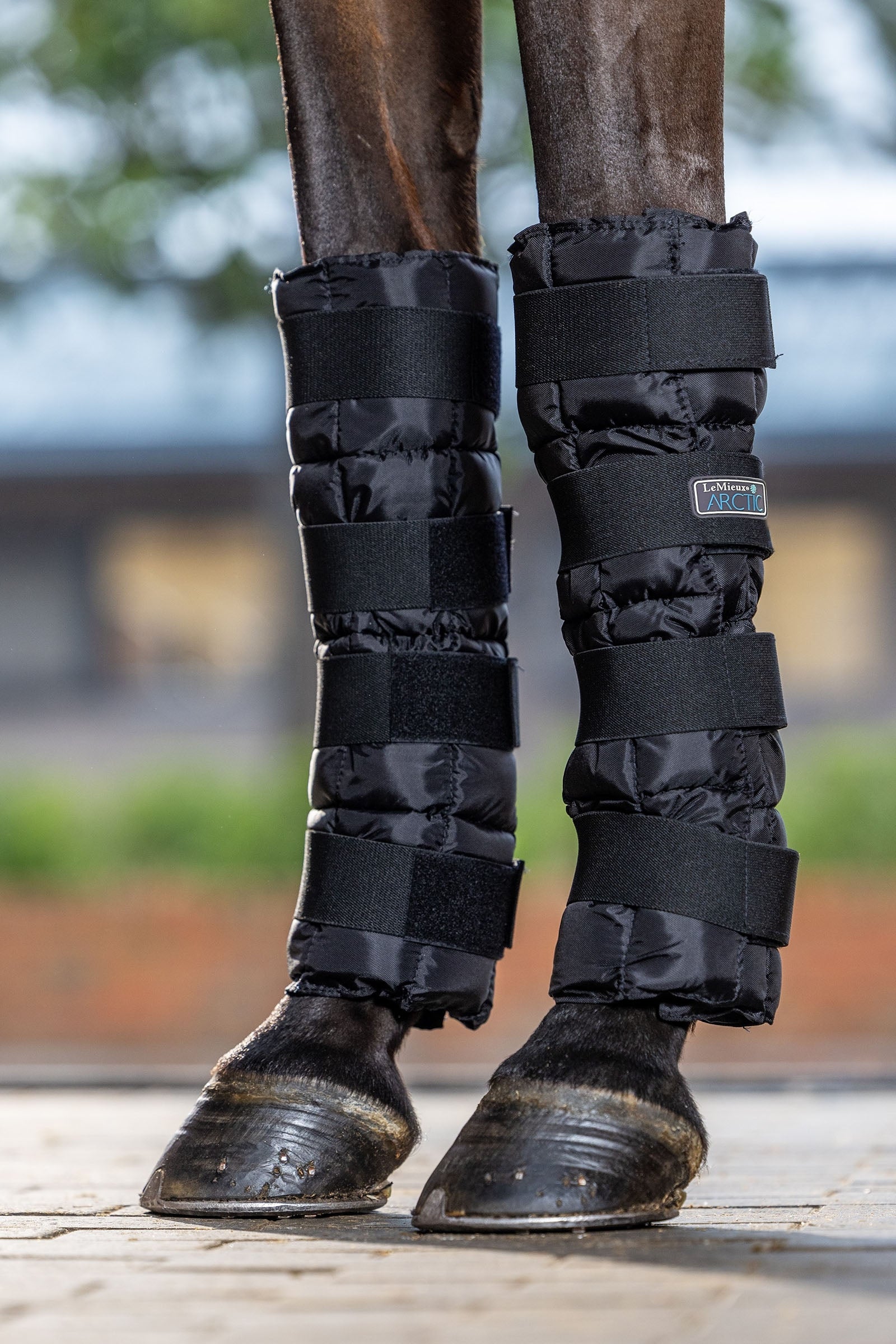 LeMieux Arctic Ice Boot (Pair) Leg Protection & Hoof Protection for Horses