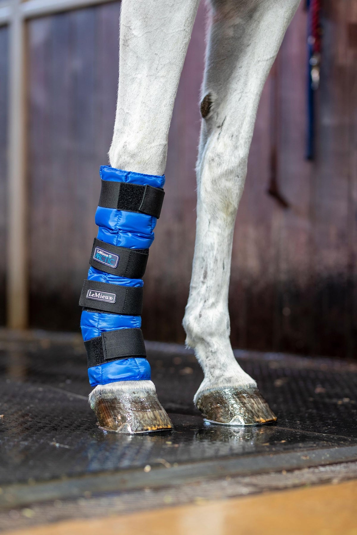 LeMieux Arctic Ice Boot (Pair) Leg & Hoof Protection