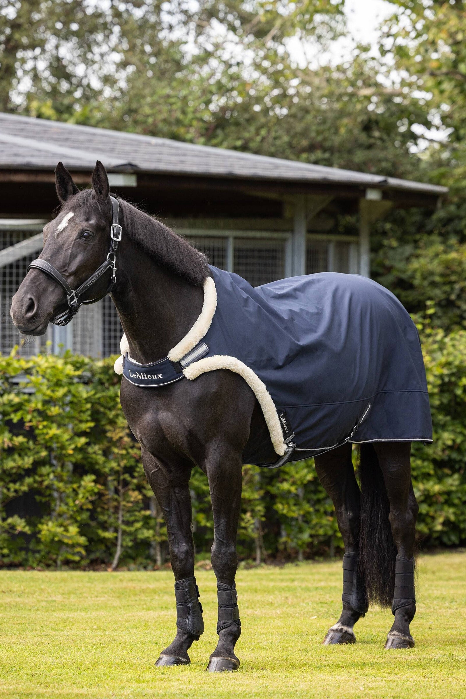 LeMieux Coperta per il guidaggio Coperte per cavalli