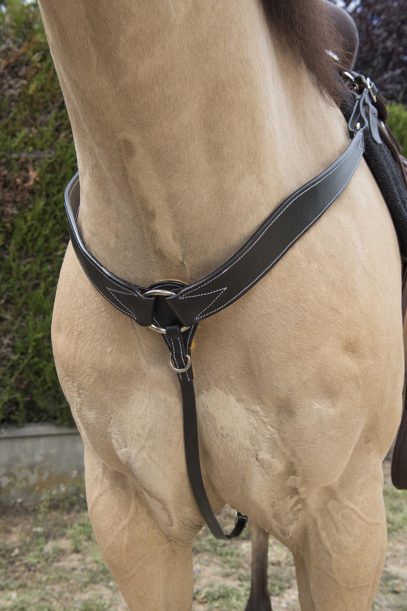 WESTRIDE Pettorale western impunturato Briglie & redini