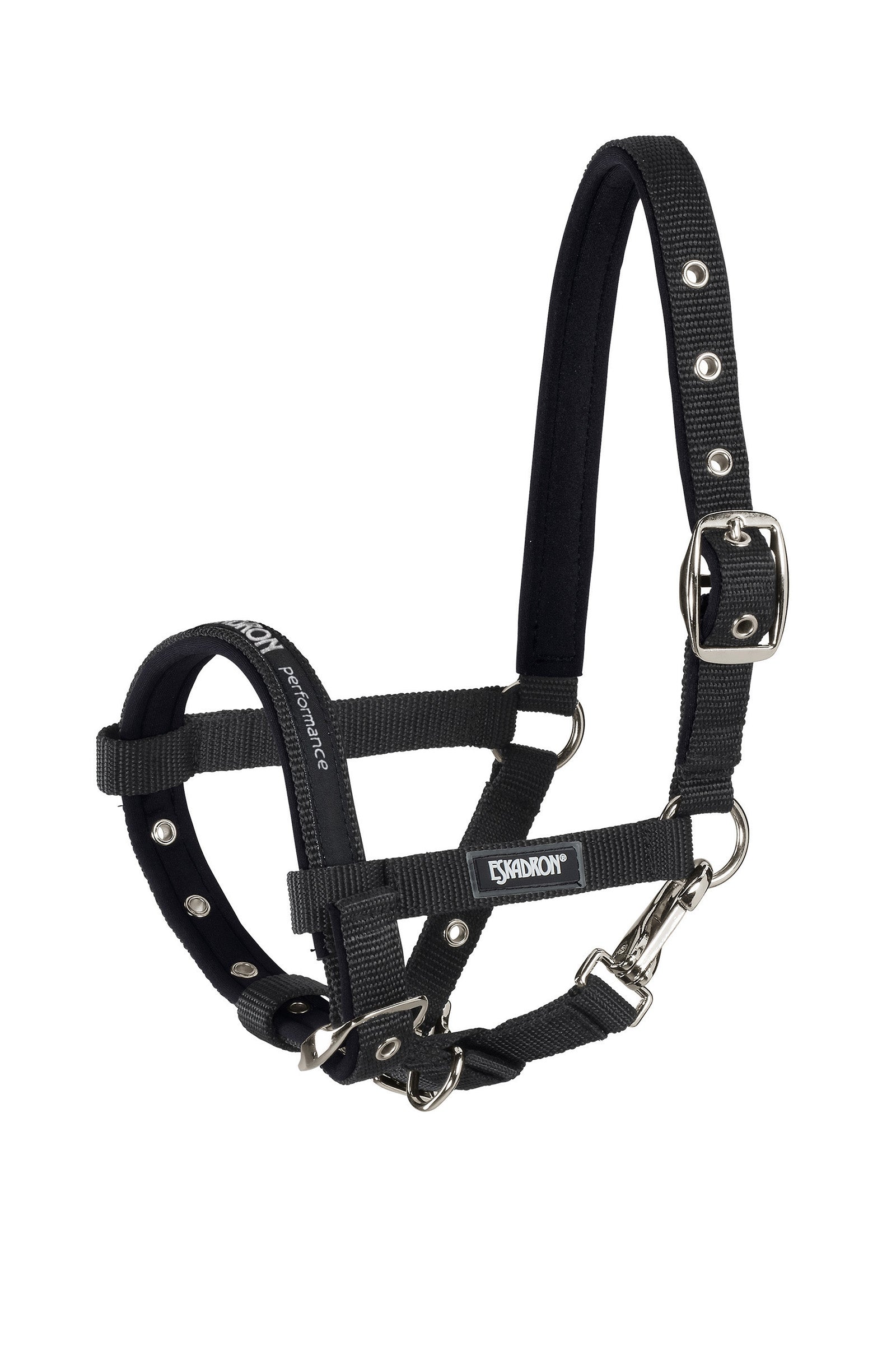 Eskadron Foal Halter Cavezze e guinsagli
