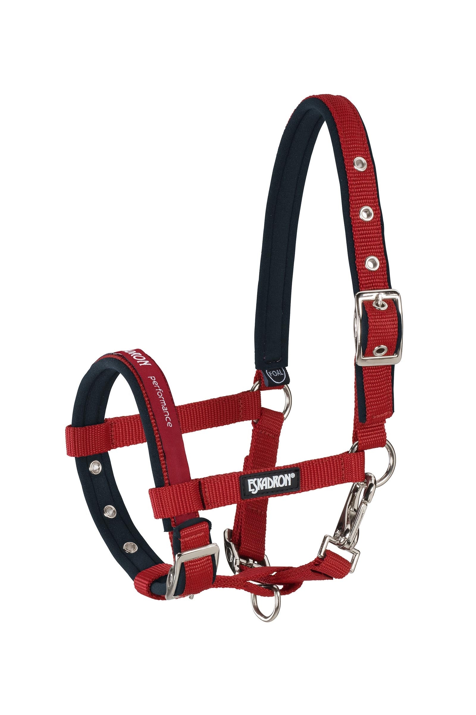Eskadron Foal Halter Cavezze e guinsagli