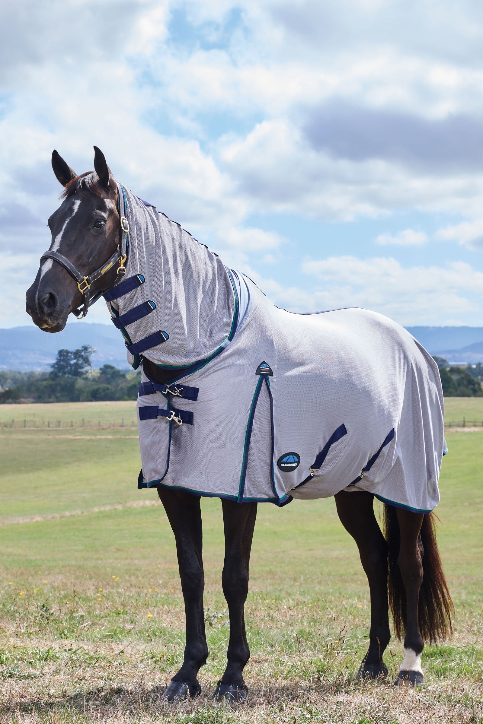 Weatherbeeta Comfitec Zephyr Fly Sheet Combo W. Fixed Neck, 0g Horse Rugs