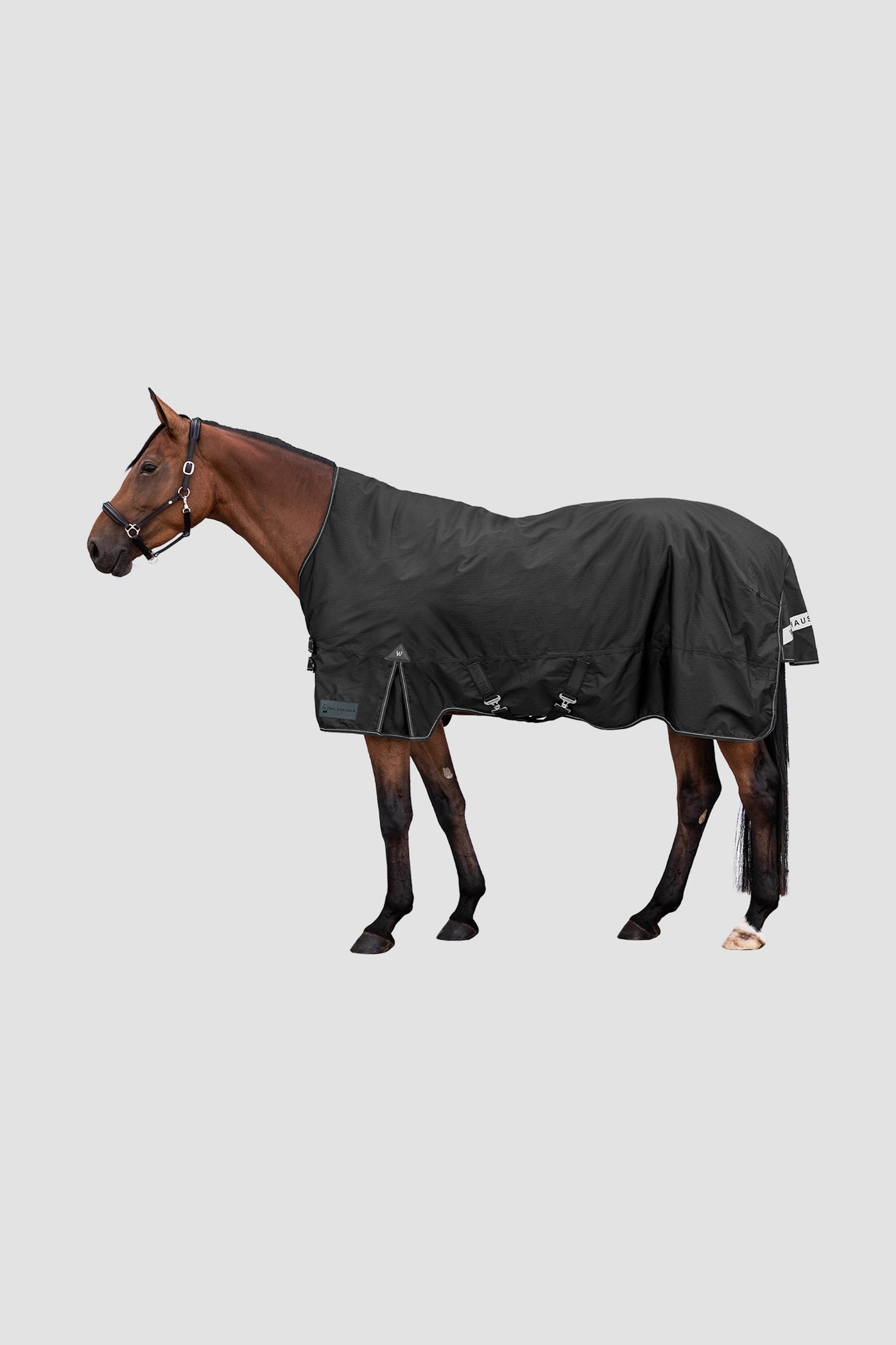 Waldhausen Outdoor Rug Arctic High Neck 200 g Coperte per cavalli