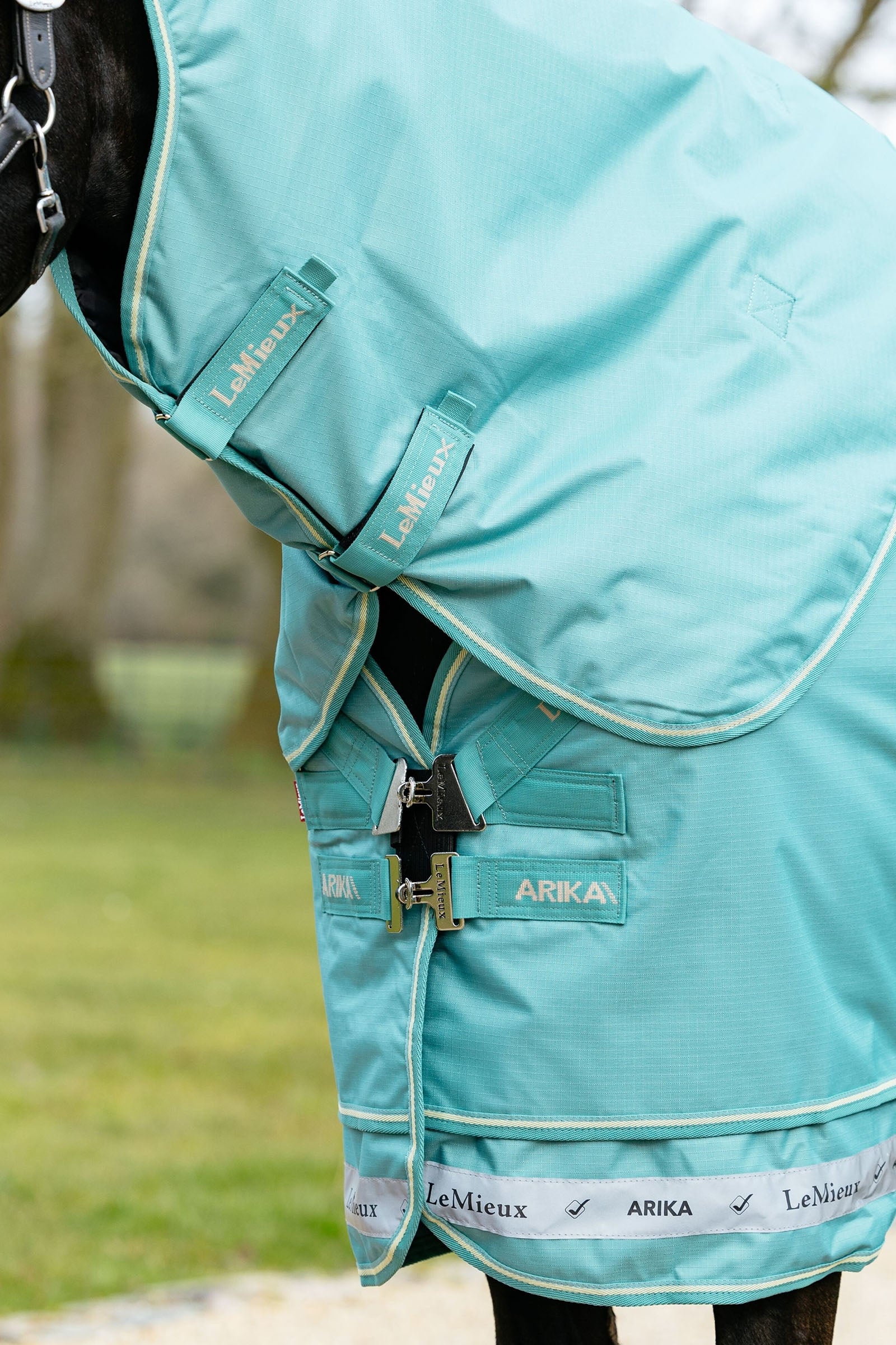LeMieux Arika 600D Turnout Rug With Detachable Neck Part, 0g Horse Rugs