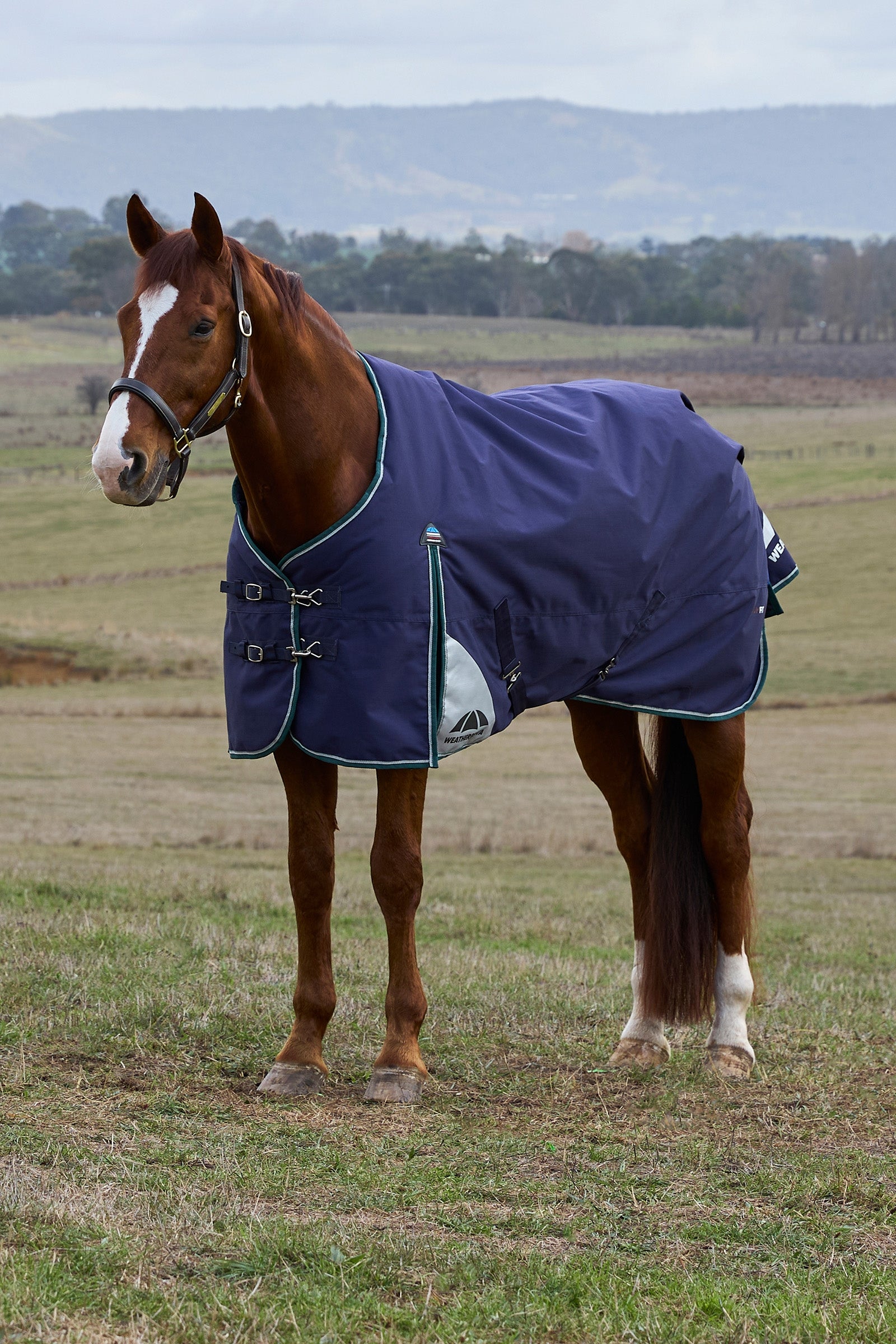 Weatherbeeta ComFiTecPlus Dynamic Turnout Detach-a-Neck, 100 g Coperte per cavalli