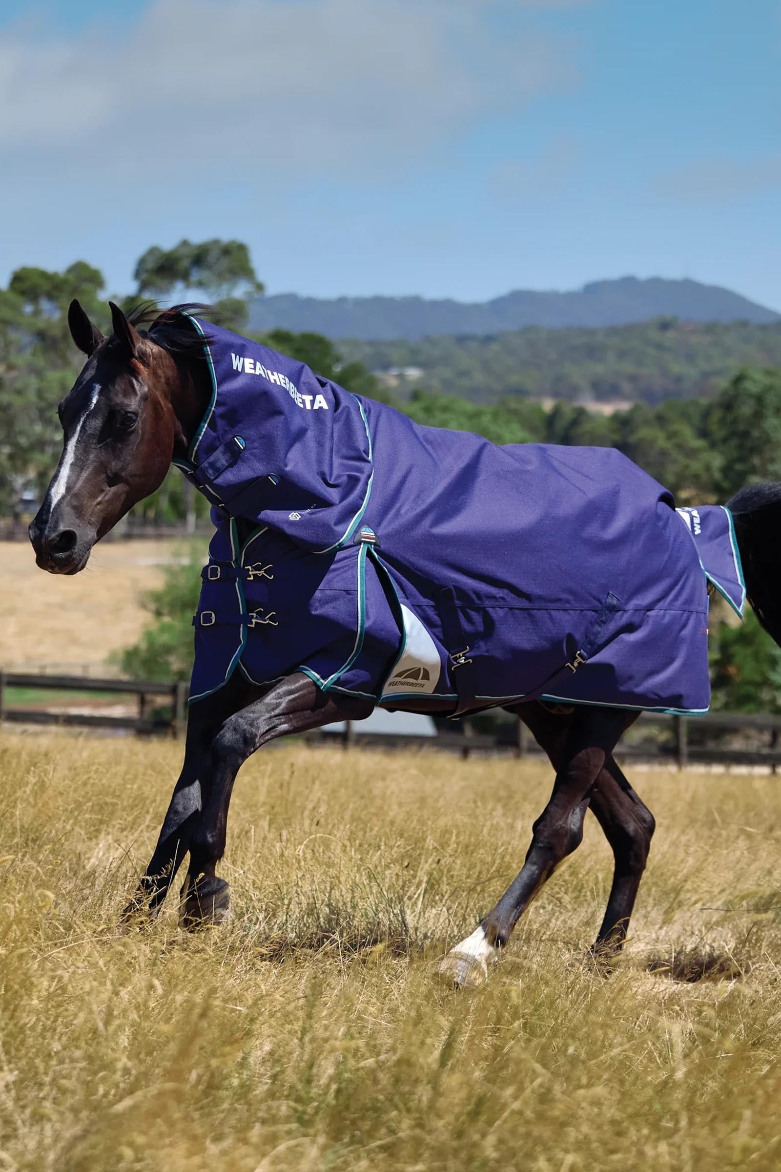 Weatherbeeta ComFiTecPlus Dynamic Turnout Detach-a-Neck, 100 g Horse Rugs