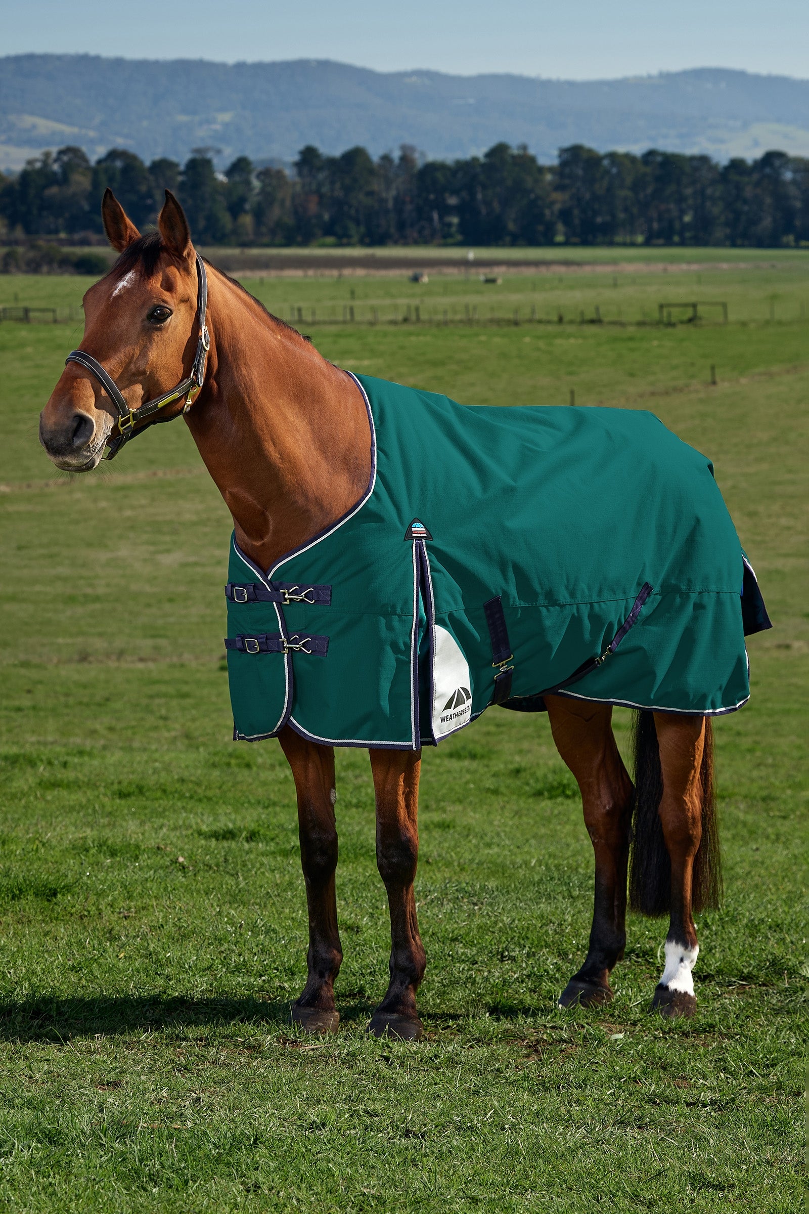 Weatherbeeta ComFiTecPlus Dynamic Turnout Detach-a-Neck, 100 g Coperte per cavalli