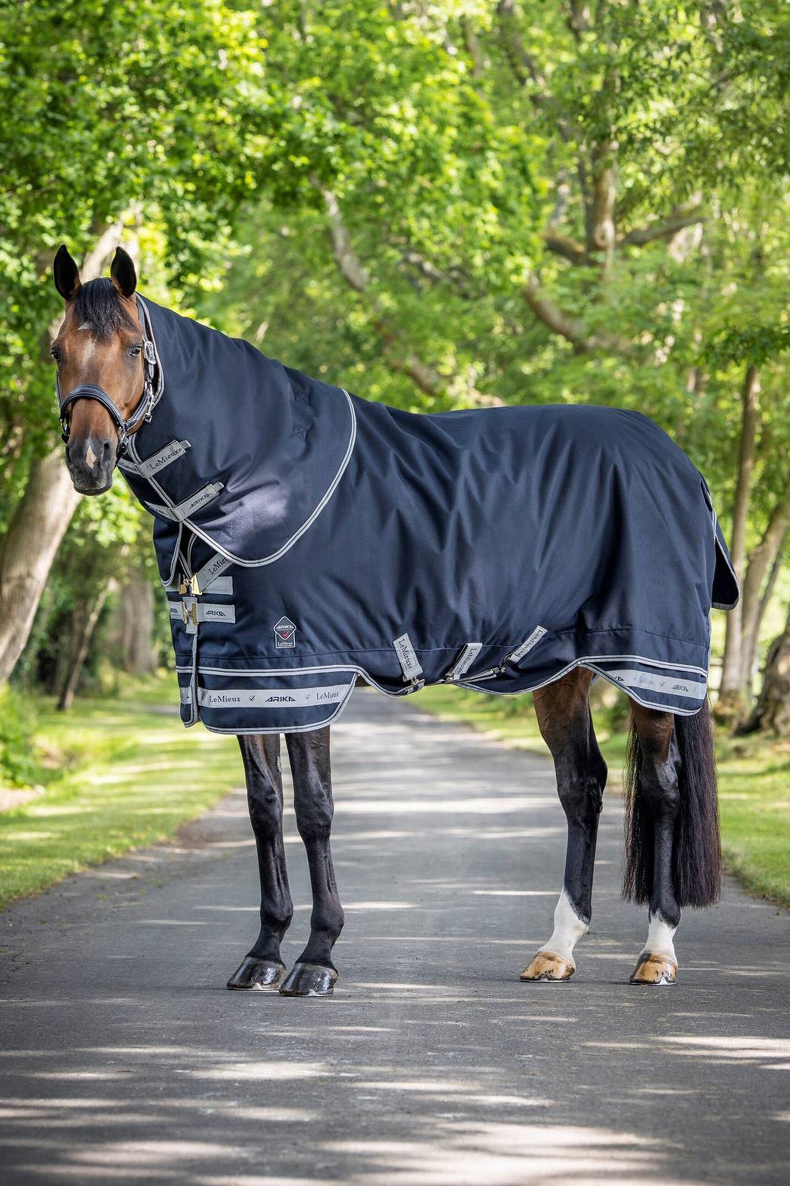 LeMieux Arika Storm-Tek Lightweight Turnout Rug, 100g Coperte per cavalli