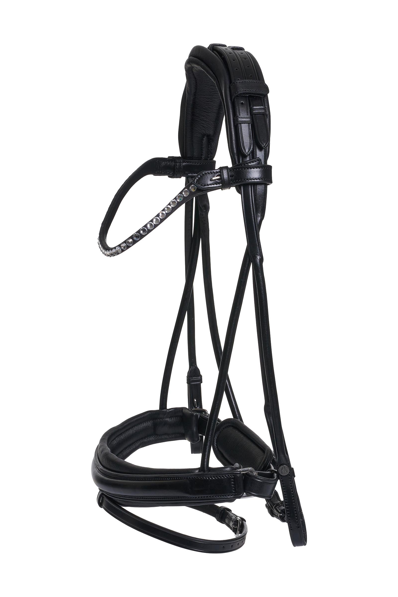 Catago Shay Round Stitched Bridle With Flash Briglie & redini