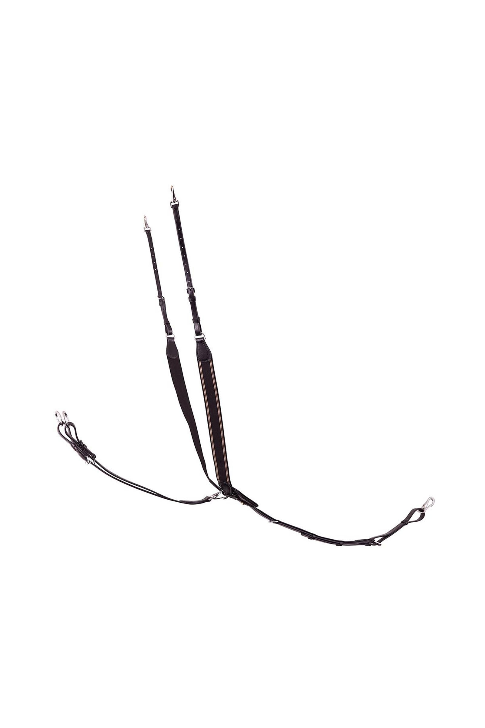 BR Taunton pettorale elastico con martingala rimovibile Briglie & redini