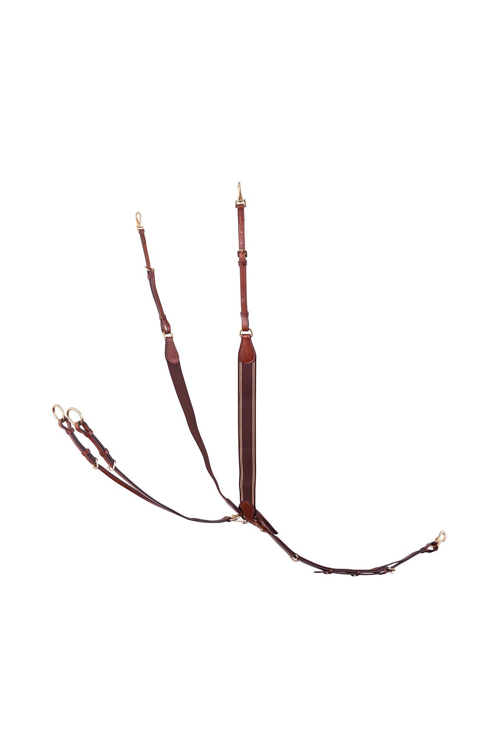 BR Taunton pettorale elastico con martingala rimovibile Briglie & redini