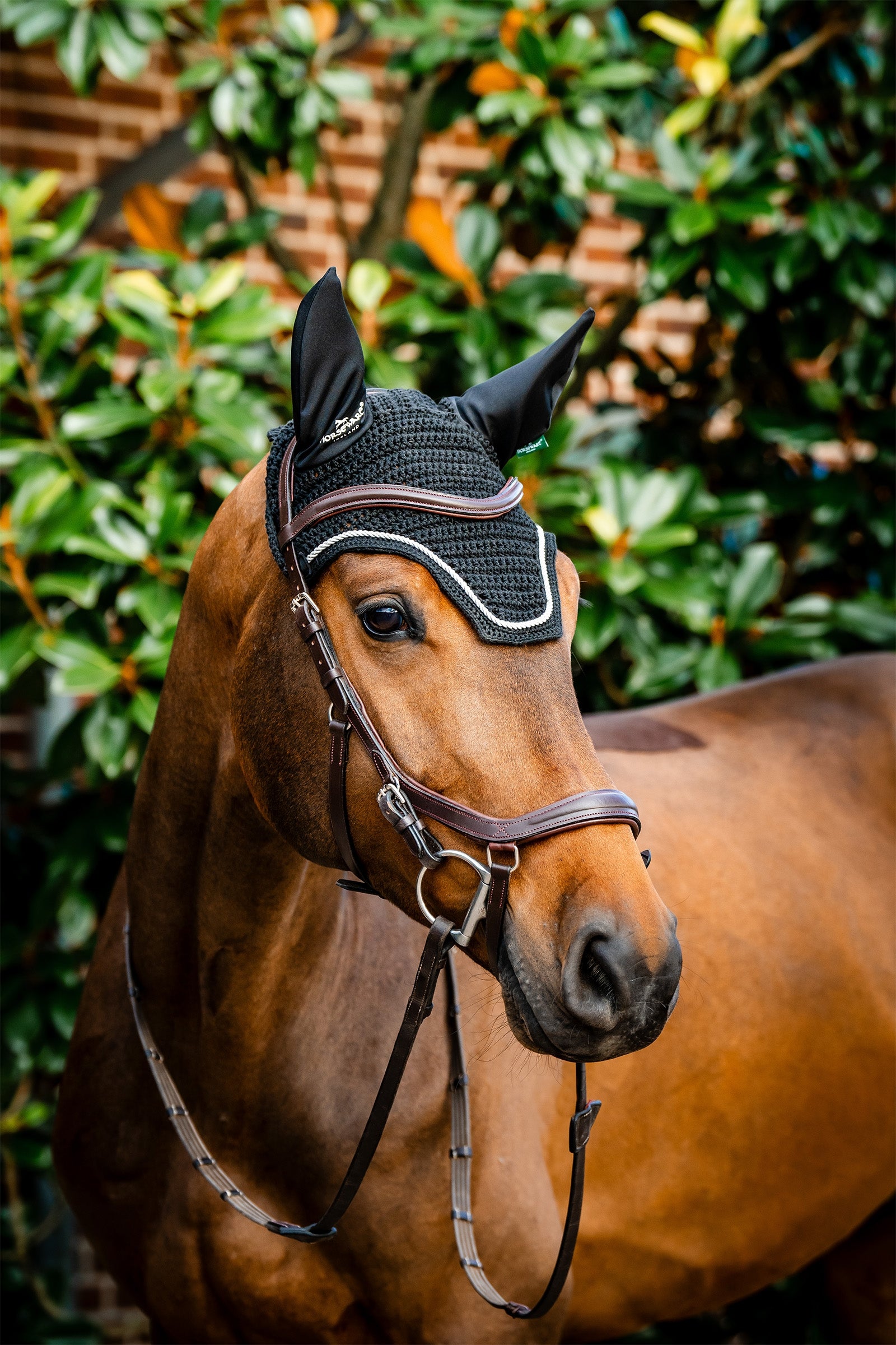 Horseware Signature cuffia anti-mosche Sottosella