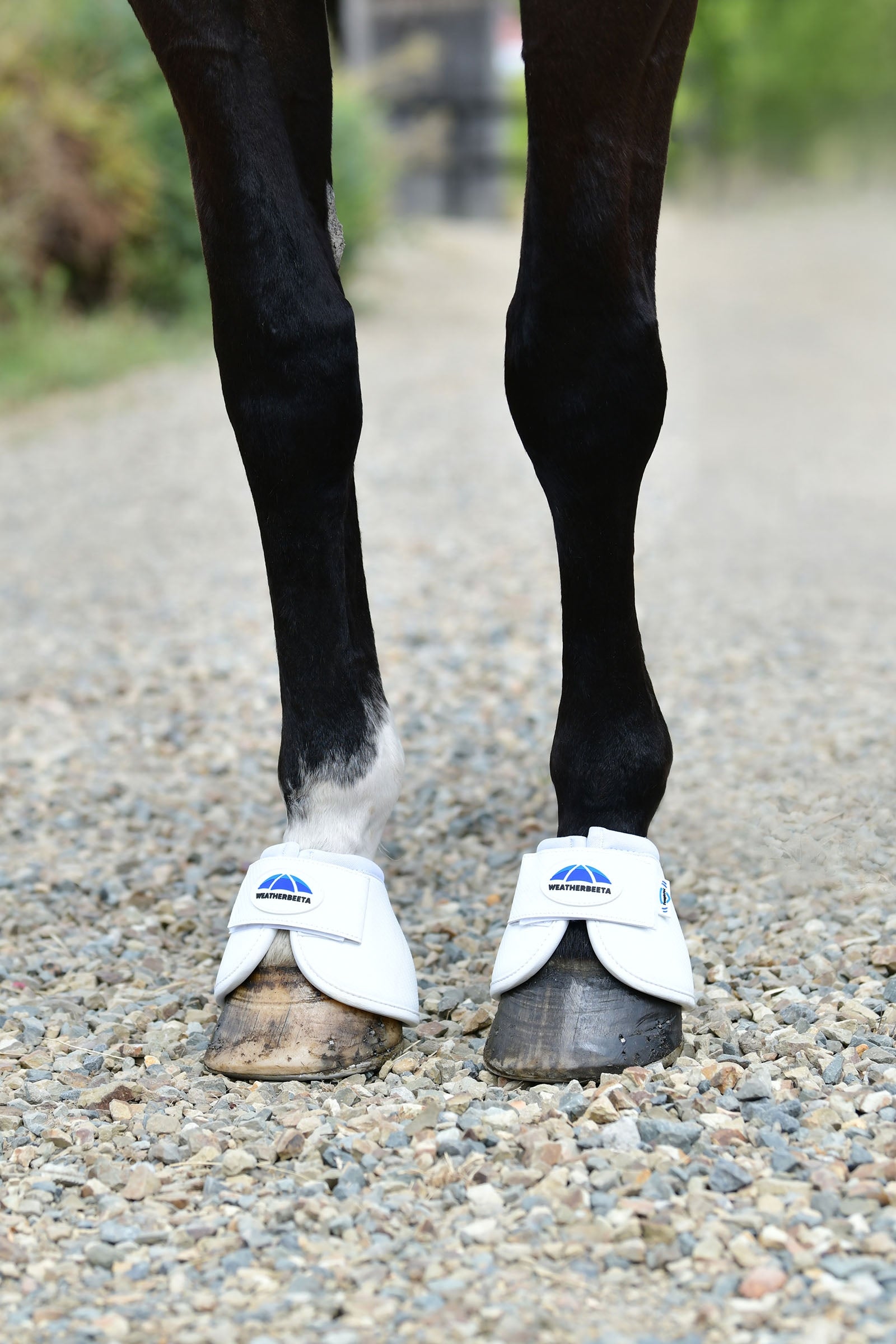 Weatherbeeta Tough-Tec Anatomical Bell Boots Leg Protection & Hoof Protection for Horses