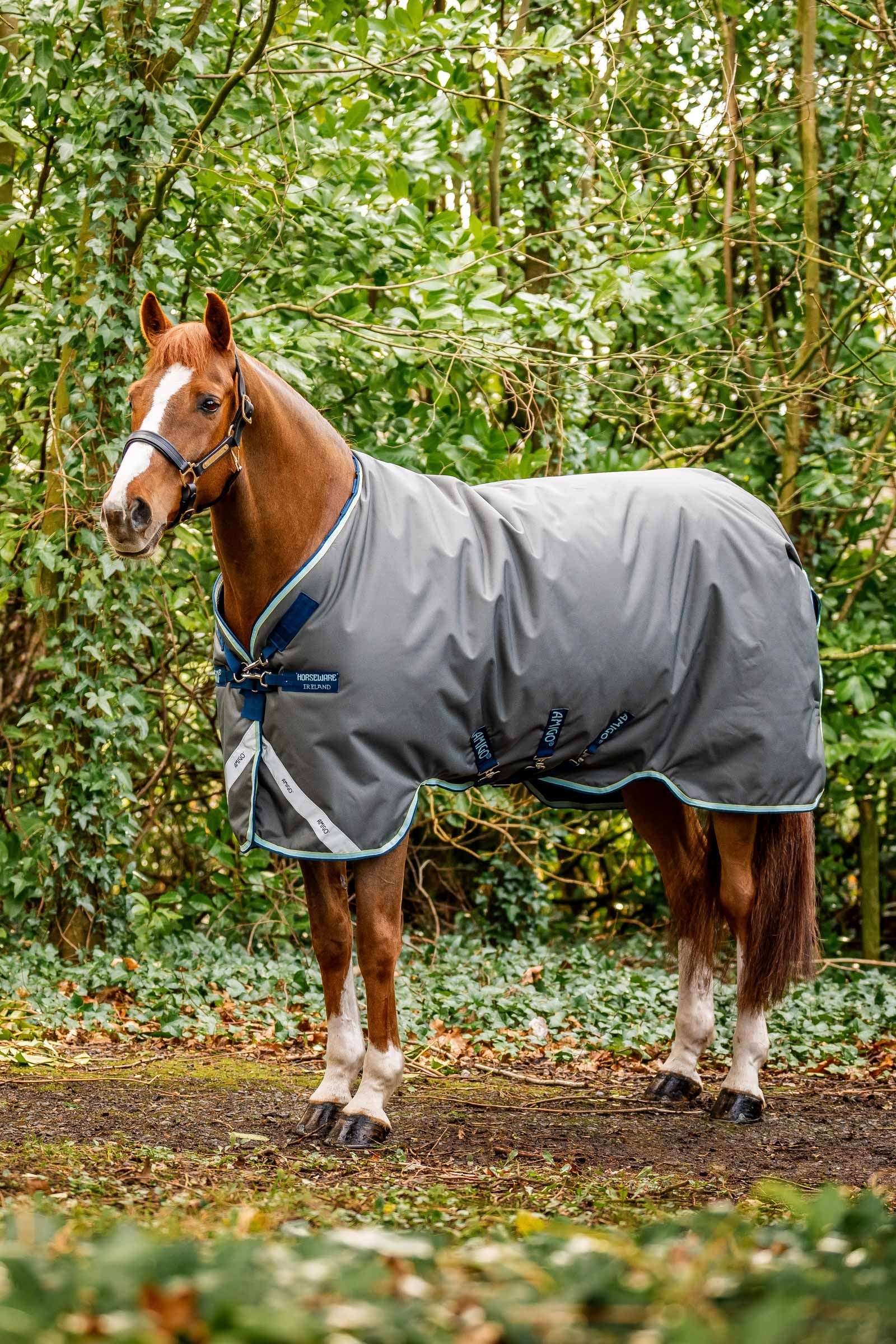 Horseware Amigo Bravo 12 Plus coperta da turnout con collo staccabile, 400g Coperte per cavalli