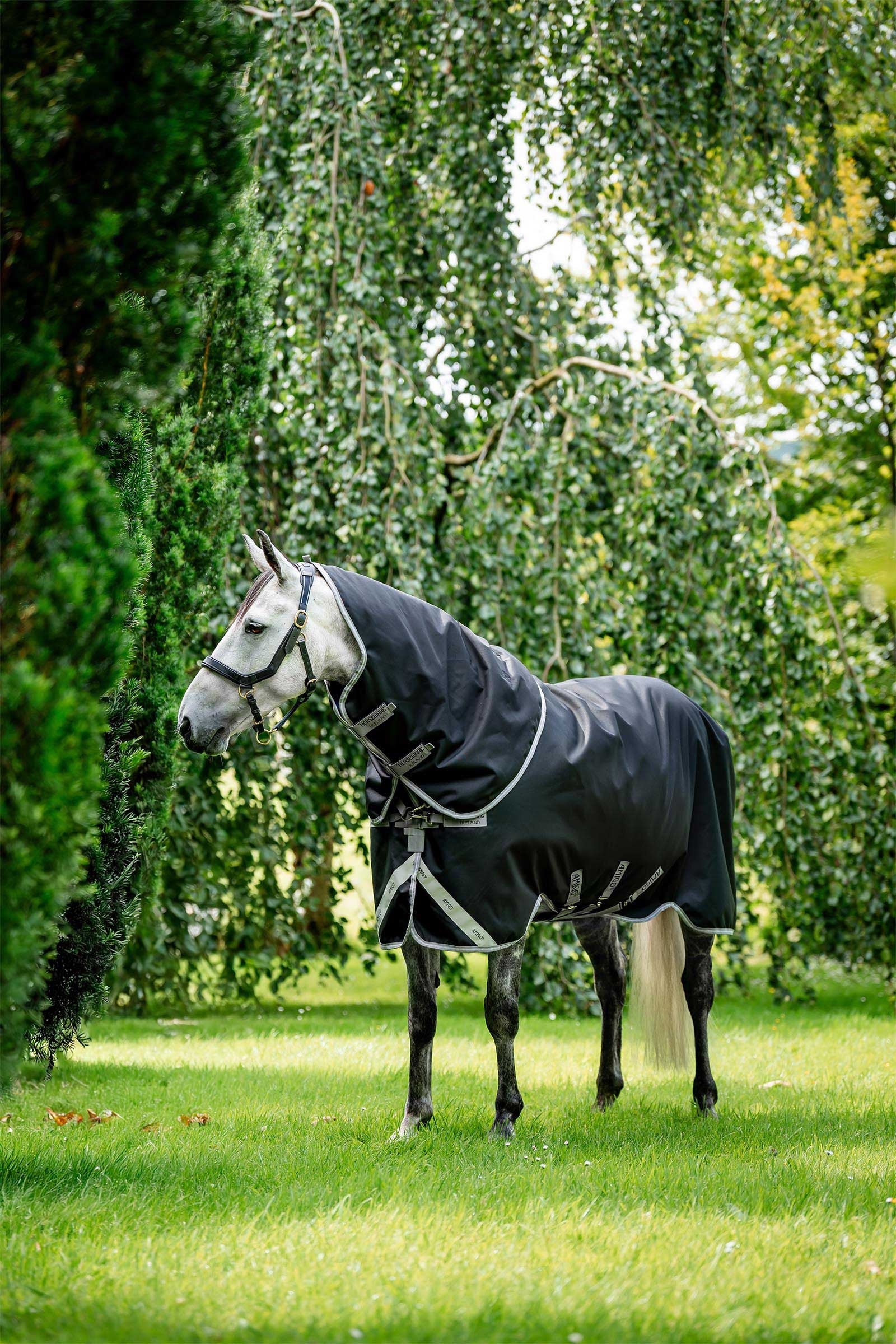 Horseware Amigo Bravo 12 Plus coperta da turnout con collo staccabile, 400g Coperte per cavalli
