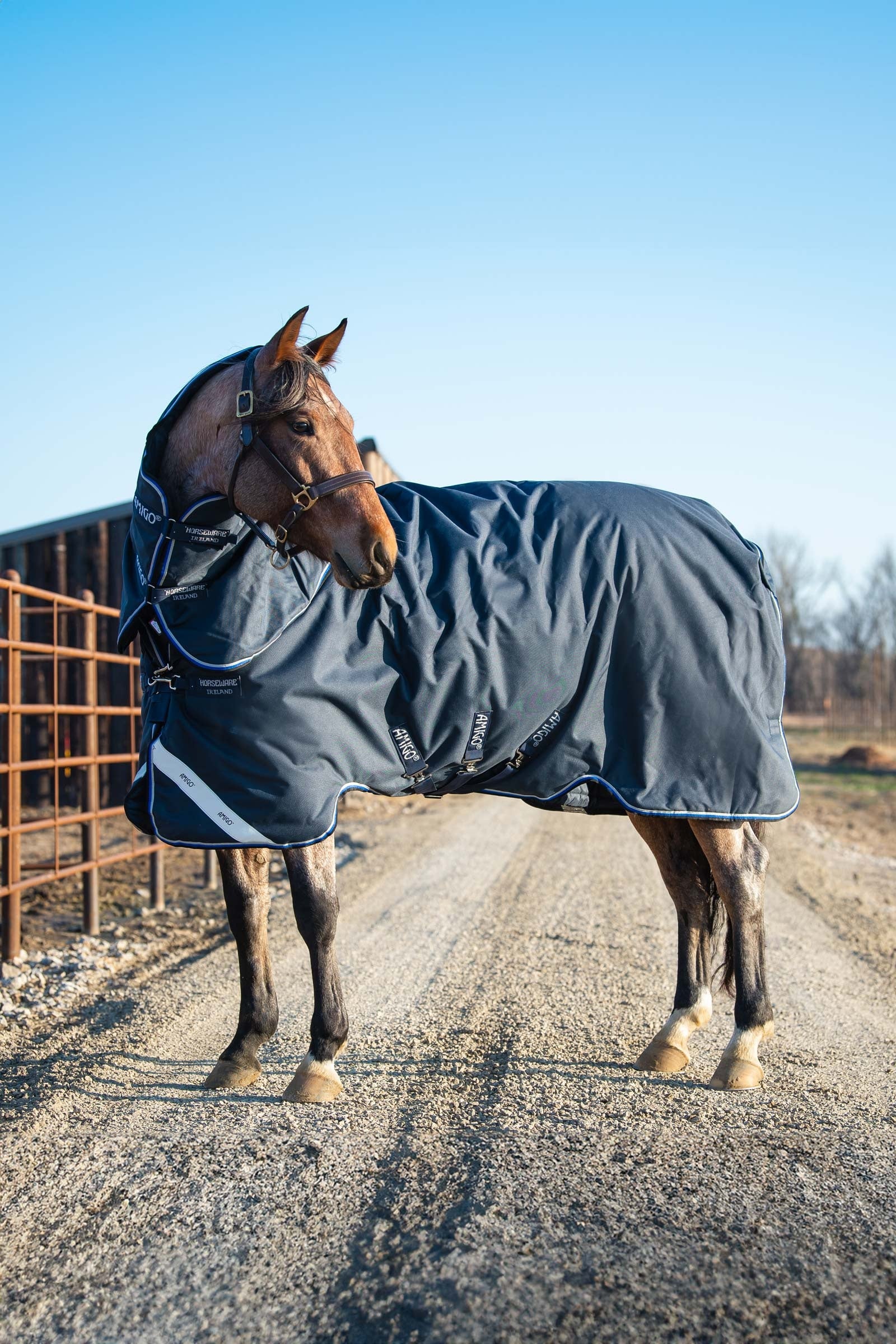Horseware Amigo Bravo 12 Plus coperta da turnout con collo staccabile, 400g Coperte per cavalli