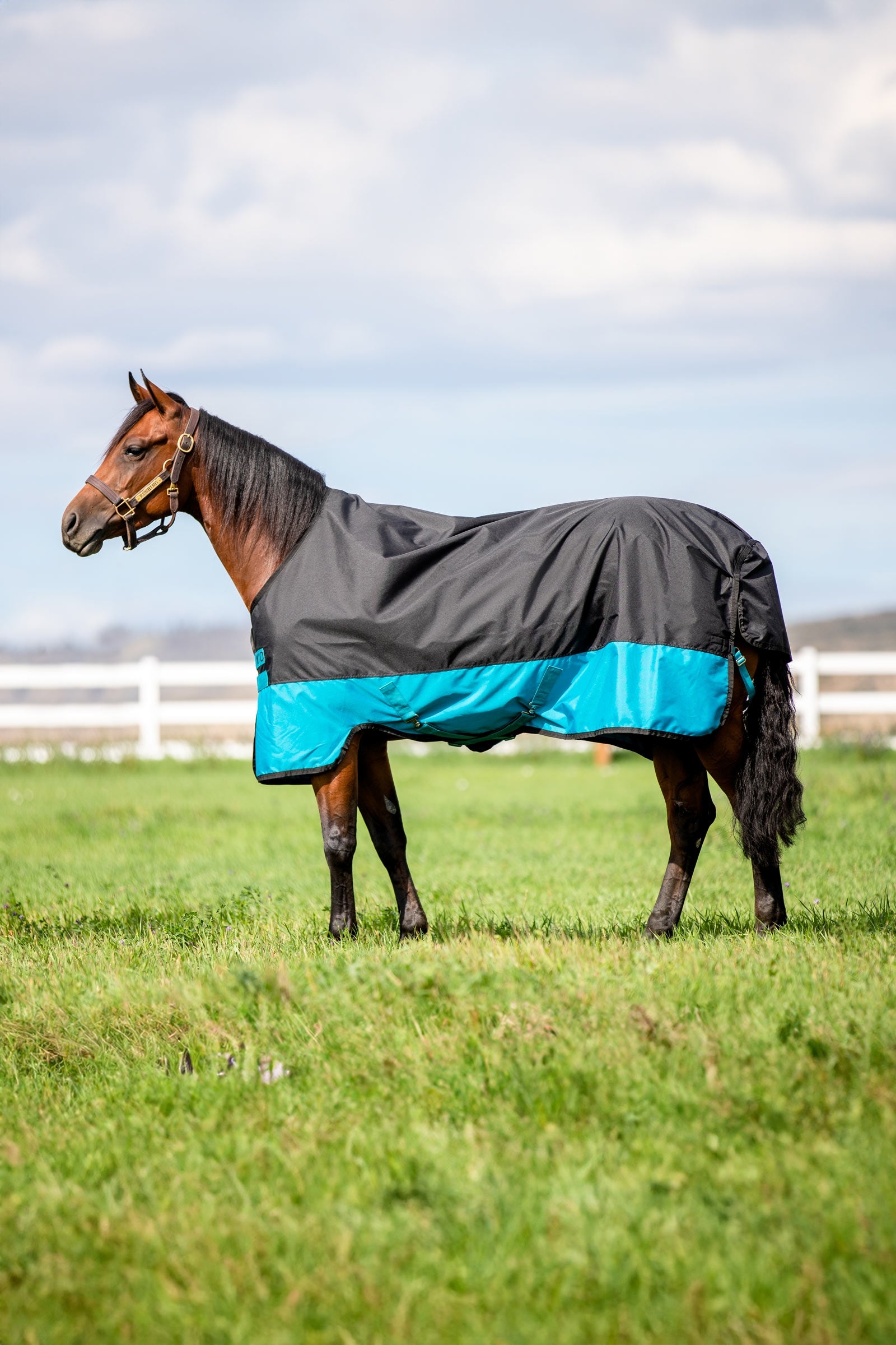 Horseware Mio coperta da turnout leggera, 200 g Coperte per cavalli