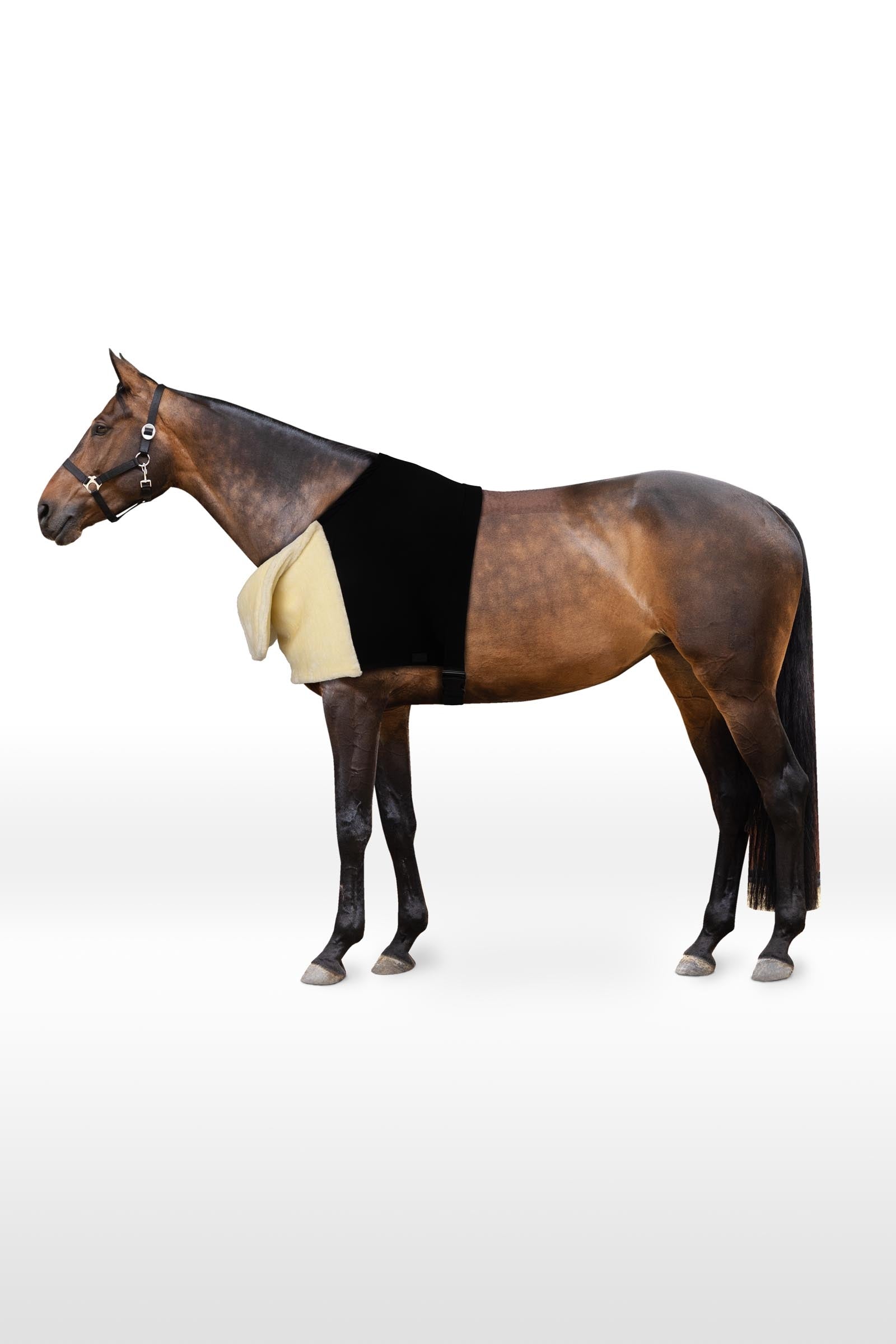 Horze Protezione per le spalle Comfort Coperte per cavalli