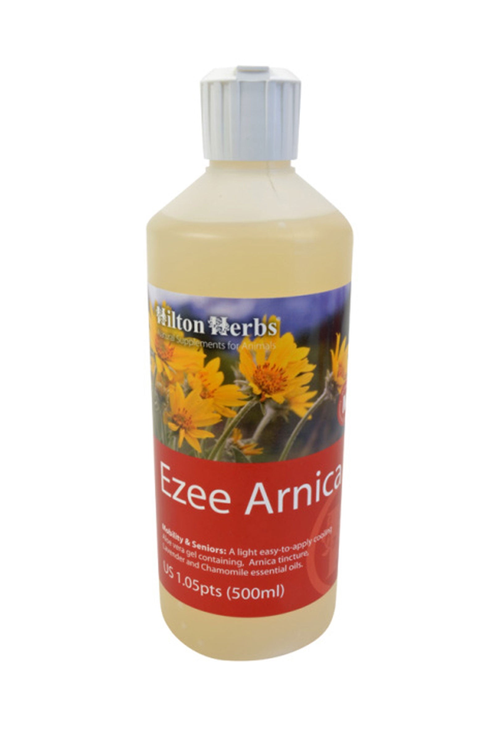 Hilton Herbs HiltonHerbs Ezee Arnica 250ml Prodotti per la salute