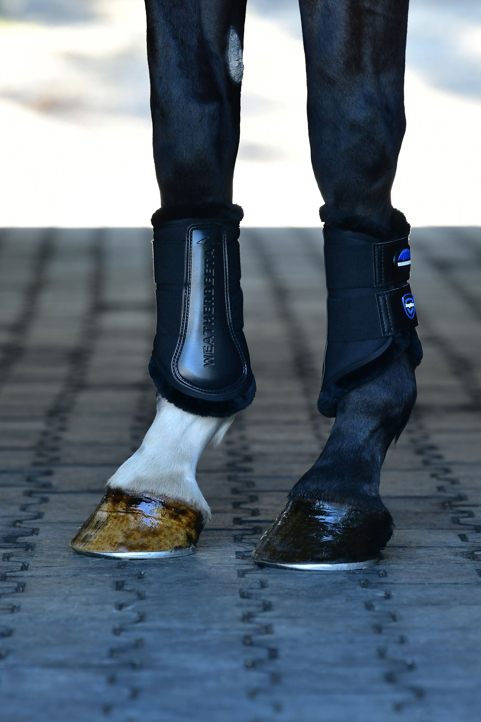 Weatherbeeta Tough-Tec Comfy Fleece Brushing Boots Leg Protection & Hoof Protection for Horses