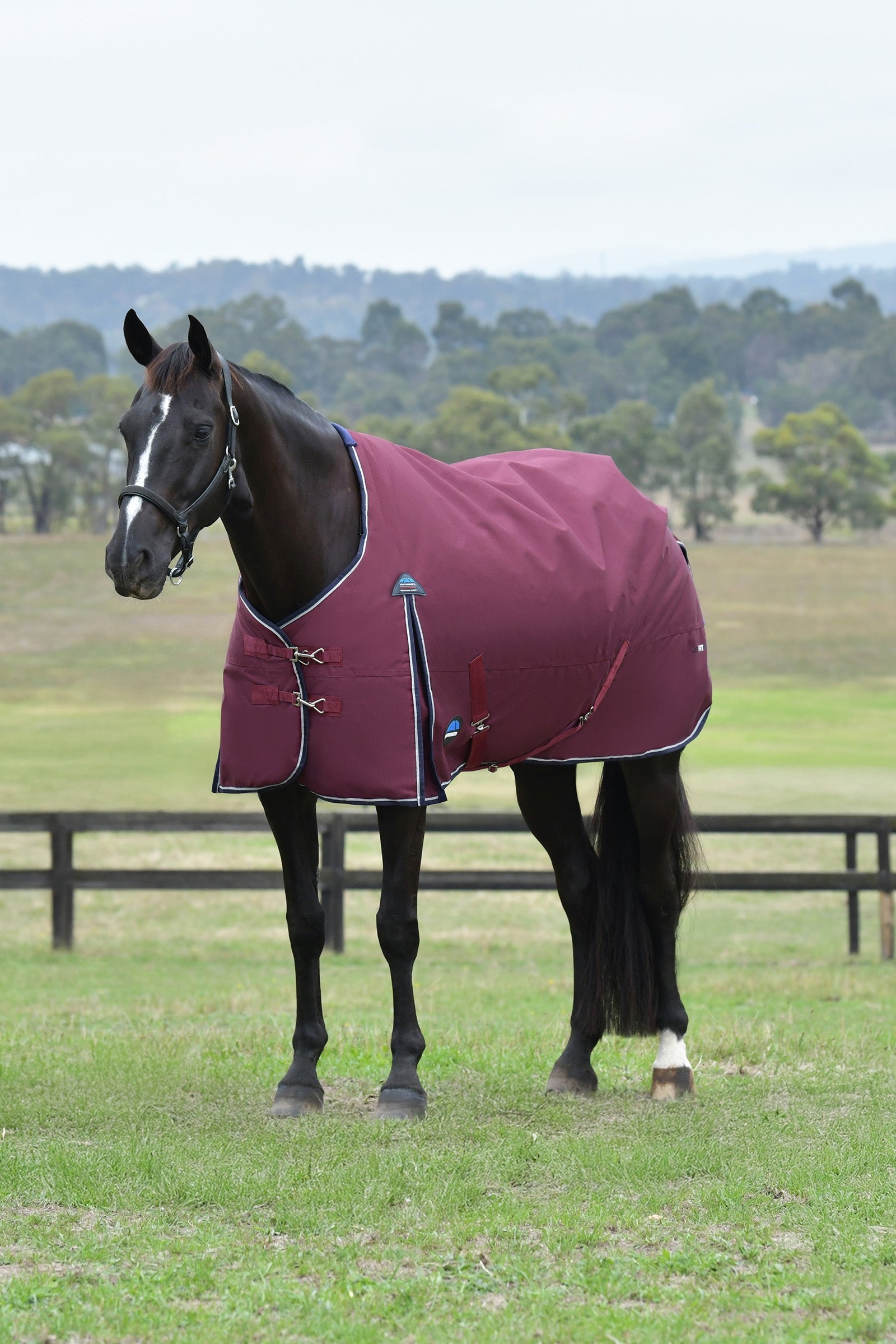 Weatherbeeta ComFiTec Essential Turnout Standard Neck 50G Coperte per cavalli