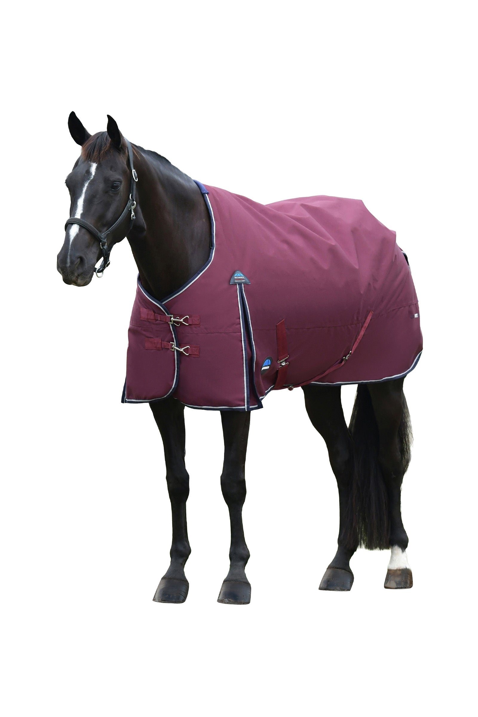 Weatherbeeta ComFiTec Essential Turnout Standard Neck 50G Horse Rugs